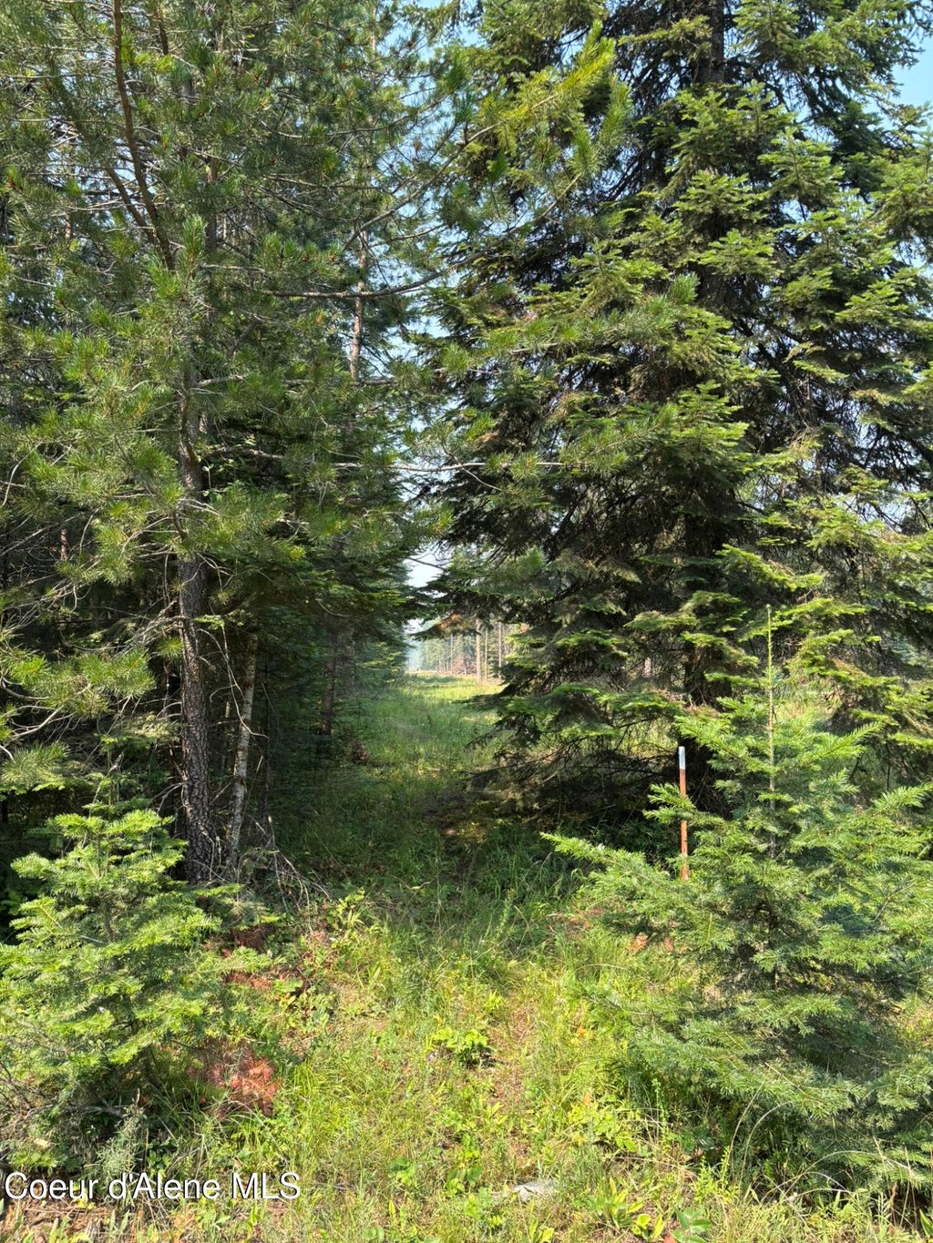 Photo of 29921 Two Rock RD, Athol, ID 83801 (MLS # 26-7424)