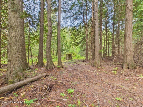 Vacant Land For Sale - 2815 Bear Creek Creek<br/> Kingston, ID 83839