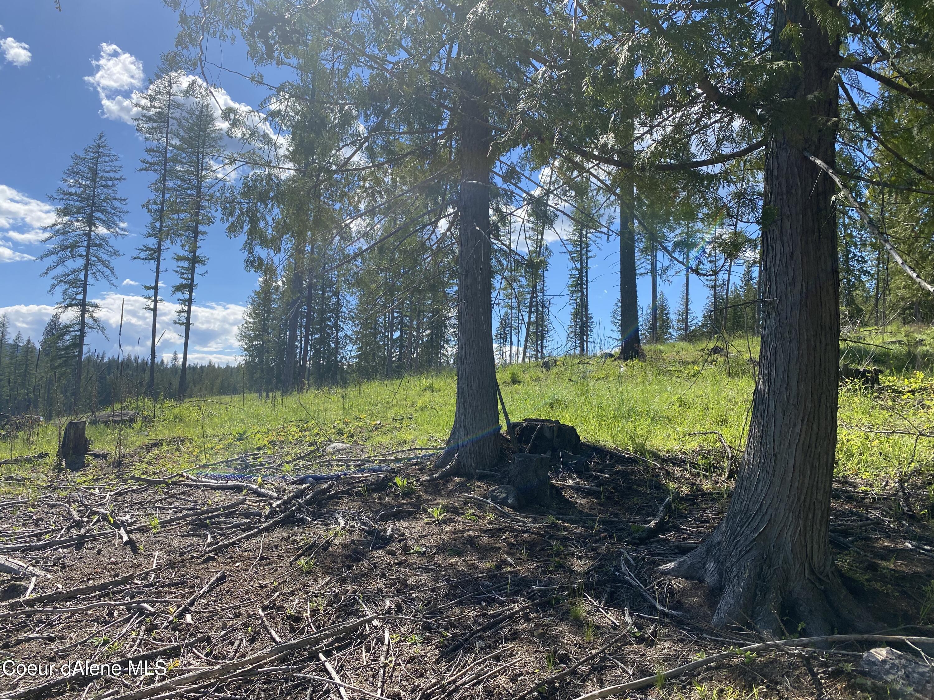 NNA N Annes Lane (lot 19) Rd, Sagle, Alaska image 22