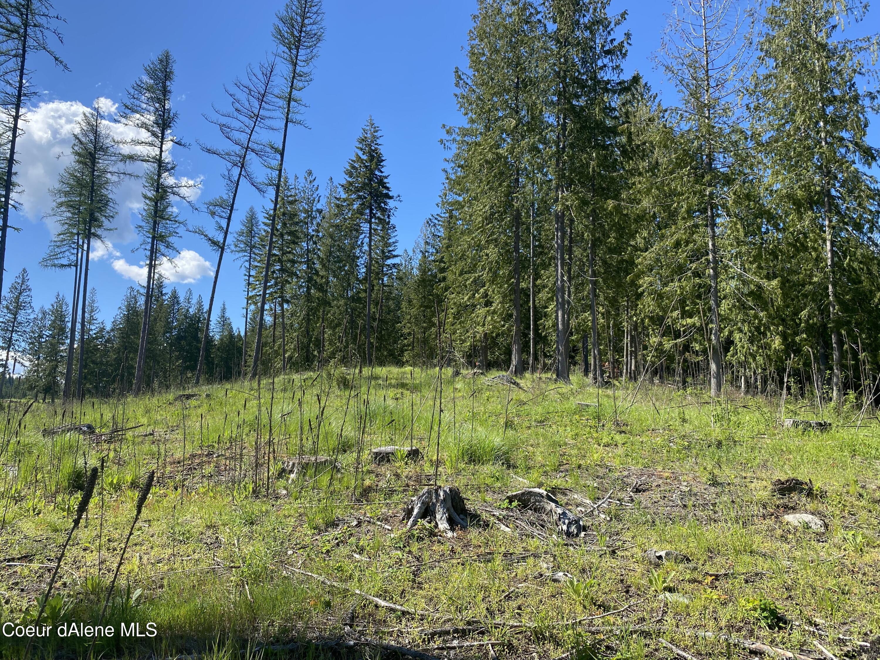 NNA N Annes Lane (lot 19) Rd, Sagle, Alaska image 24