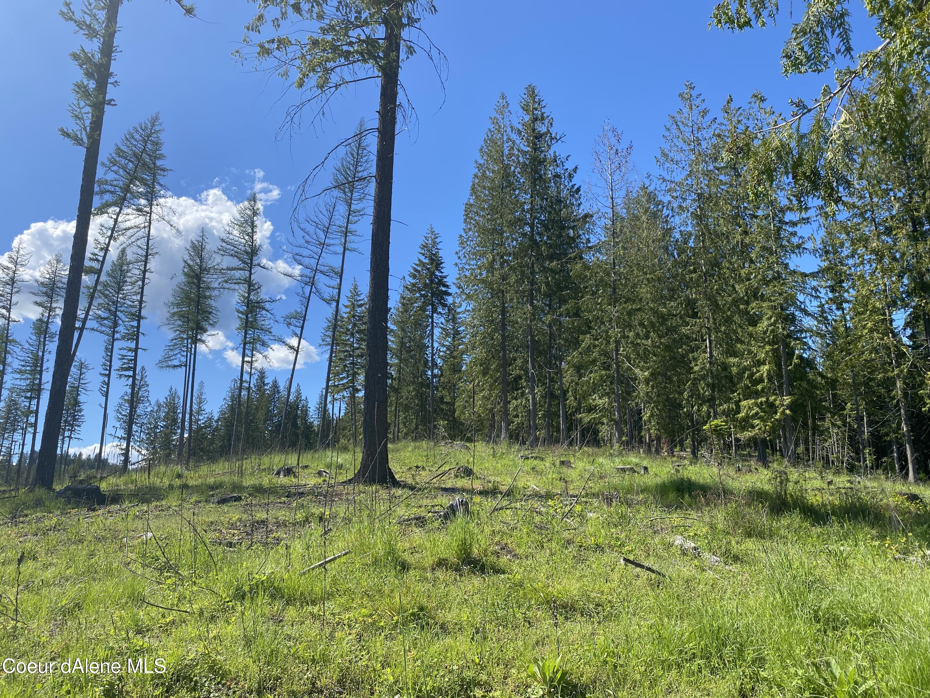 NNA N Annes Lane (lot 19) Rd, Sagle, Alaska image 23