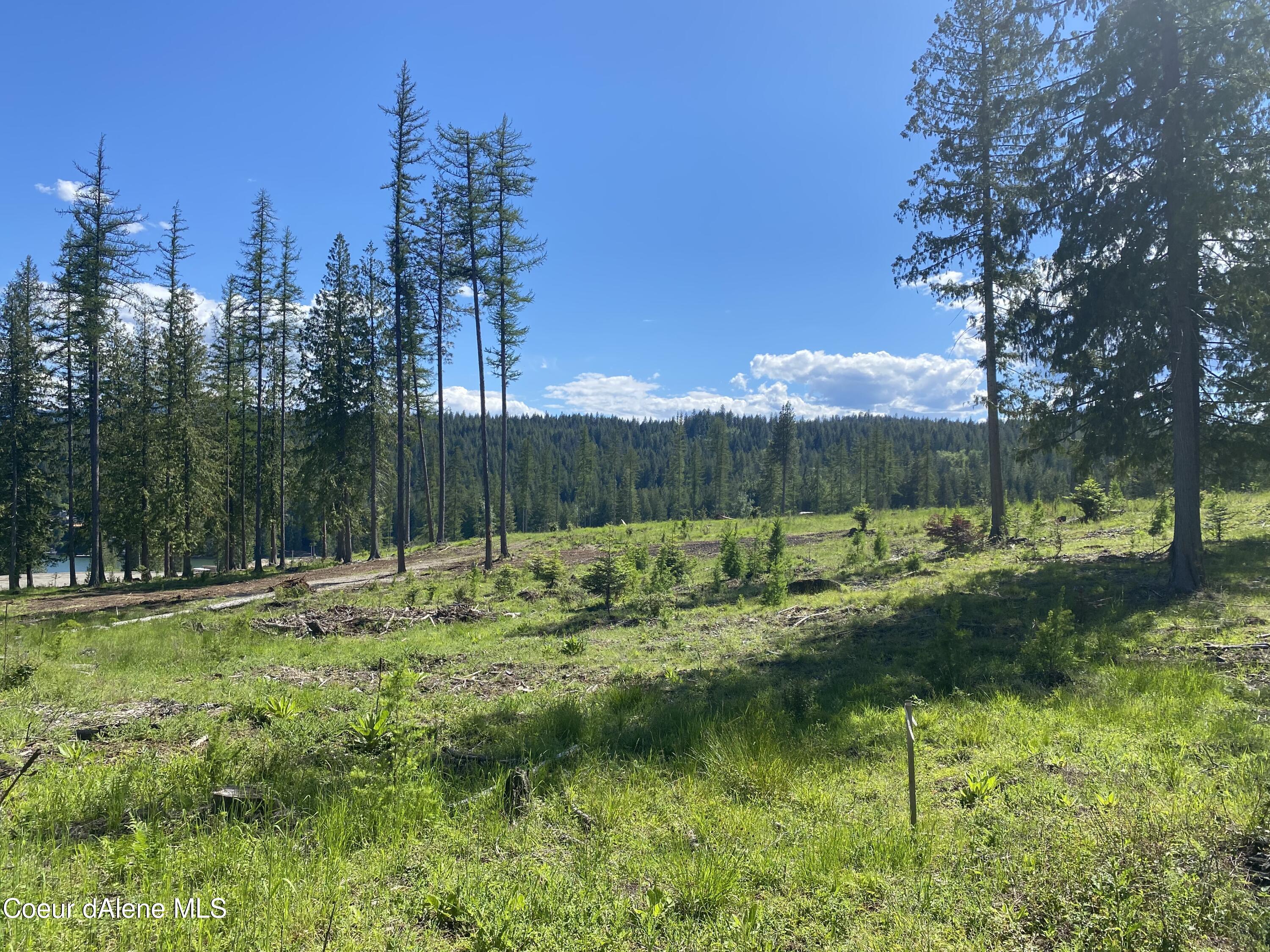 NNA N Annes Lane (lot 19) Rd, Sagle, Alaska image 20
