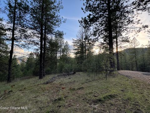 Vacant Land For Sale - NKA(LOT 3) Baby Cougar Lane Lane<br/> Coeur d'Alene, ID 83815