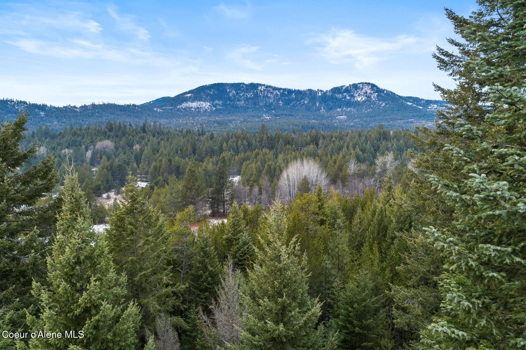 NNA Old Homestead Rd, Careywood, Idaho image 12