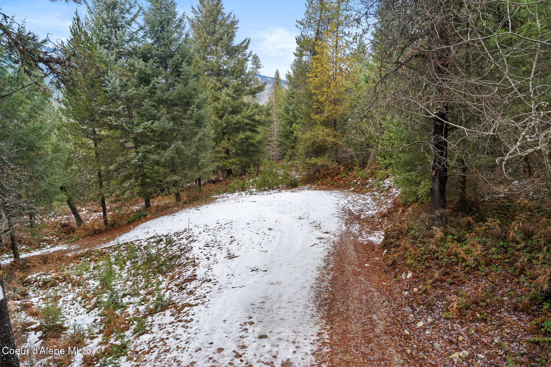 NNA Old Homestead Rd, Careywood, Idaho image 10