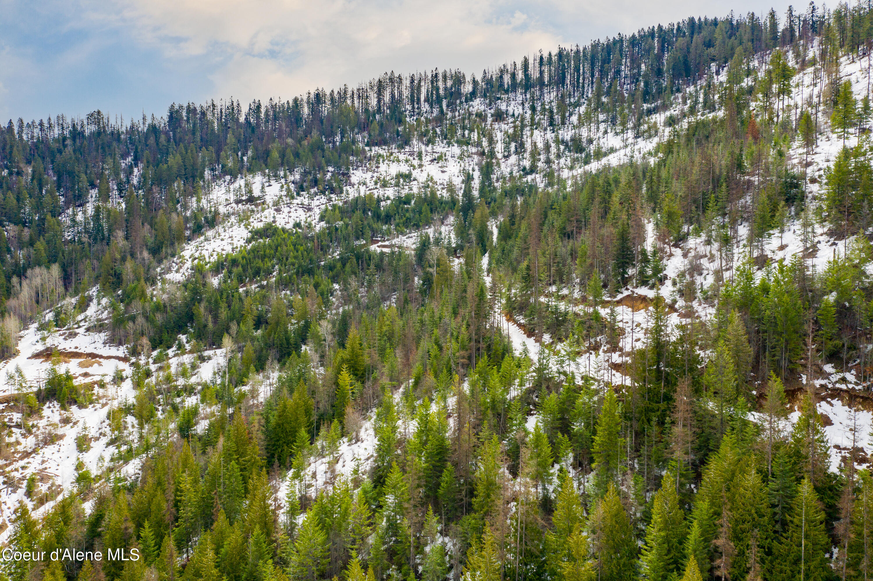 NKA Eichs Rd, Cocolalla, Idaho image 17