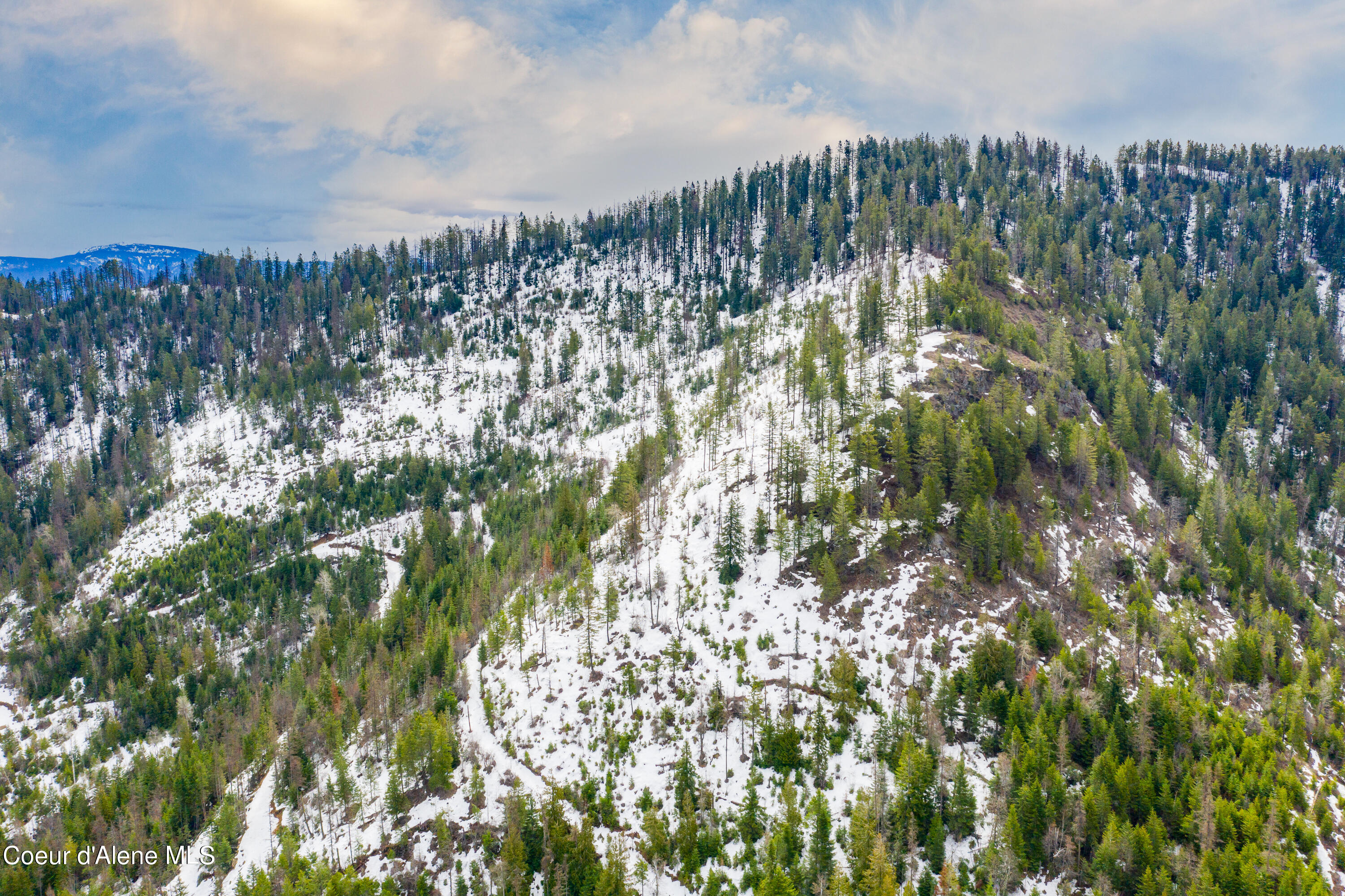 NKA Eichs Rd, Cocolalla, Idaho image 8