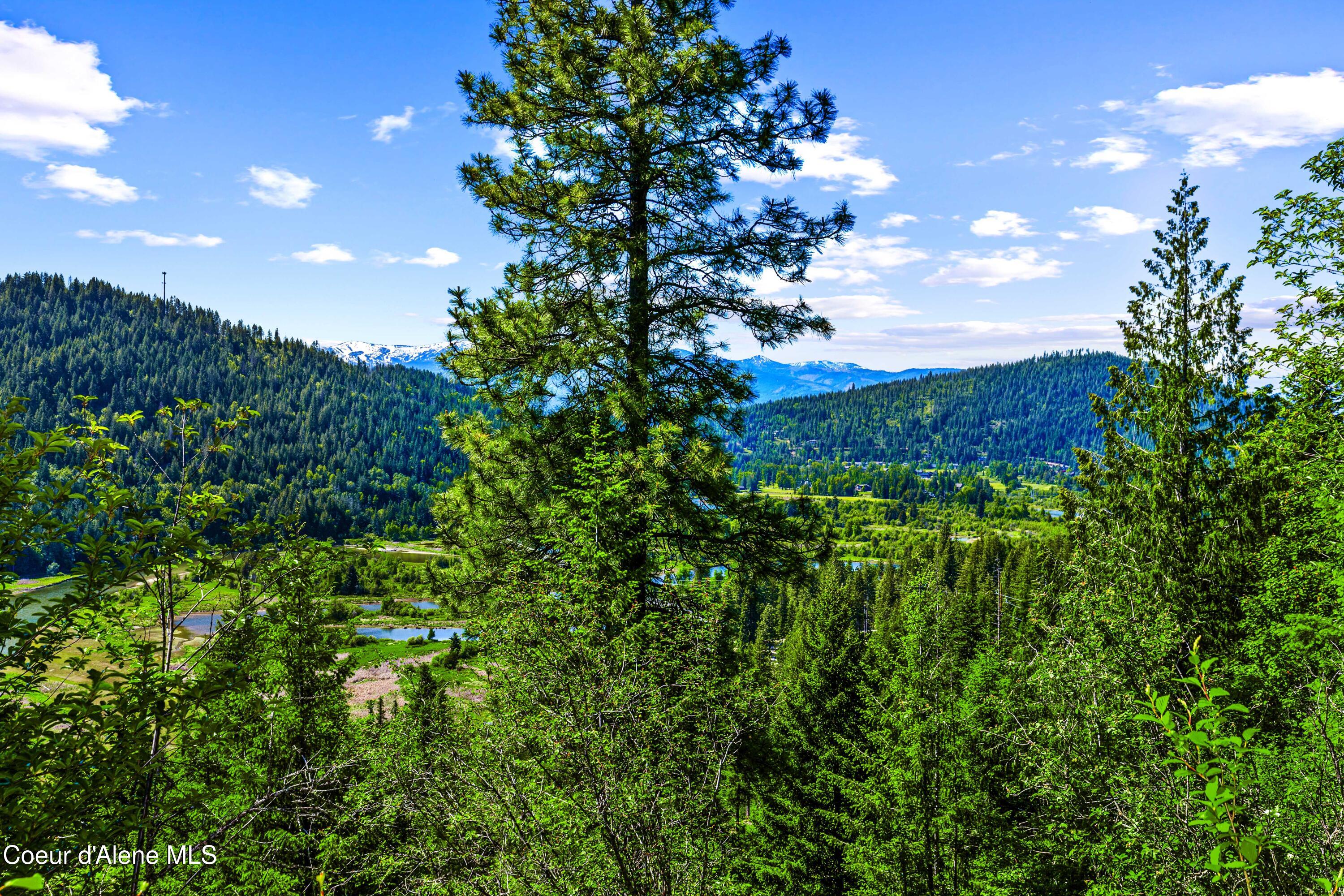 NNA W Kirby Mt.  ( West 5 Acres ) Lane #3B, Sandpoint, Alaska image 7