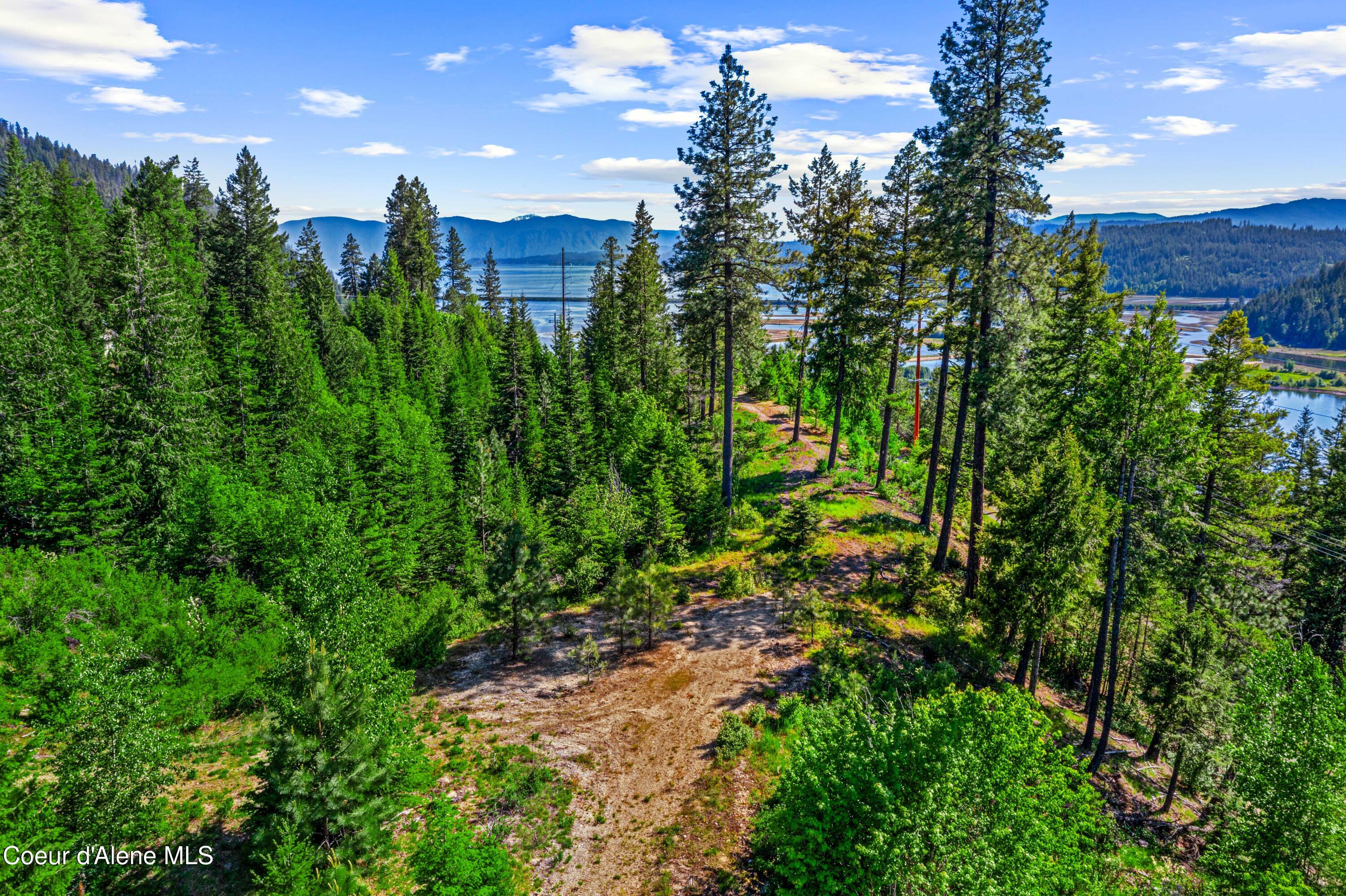 NNA W Kirby Mt.  ( West 5 Acres ) Lane #3B, Sandpoint, Alaska image 2