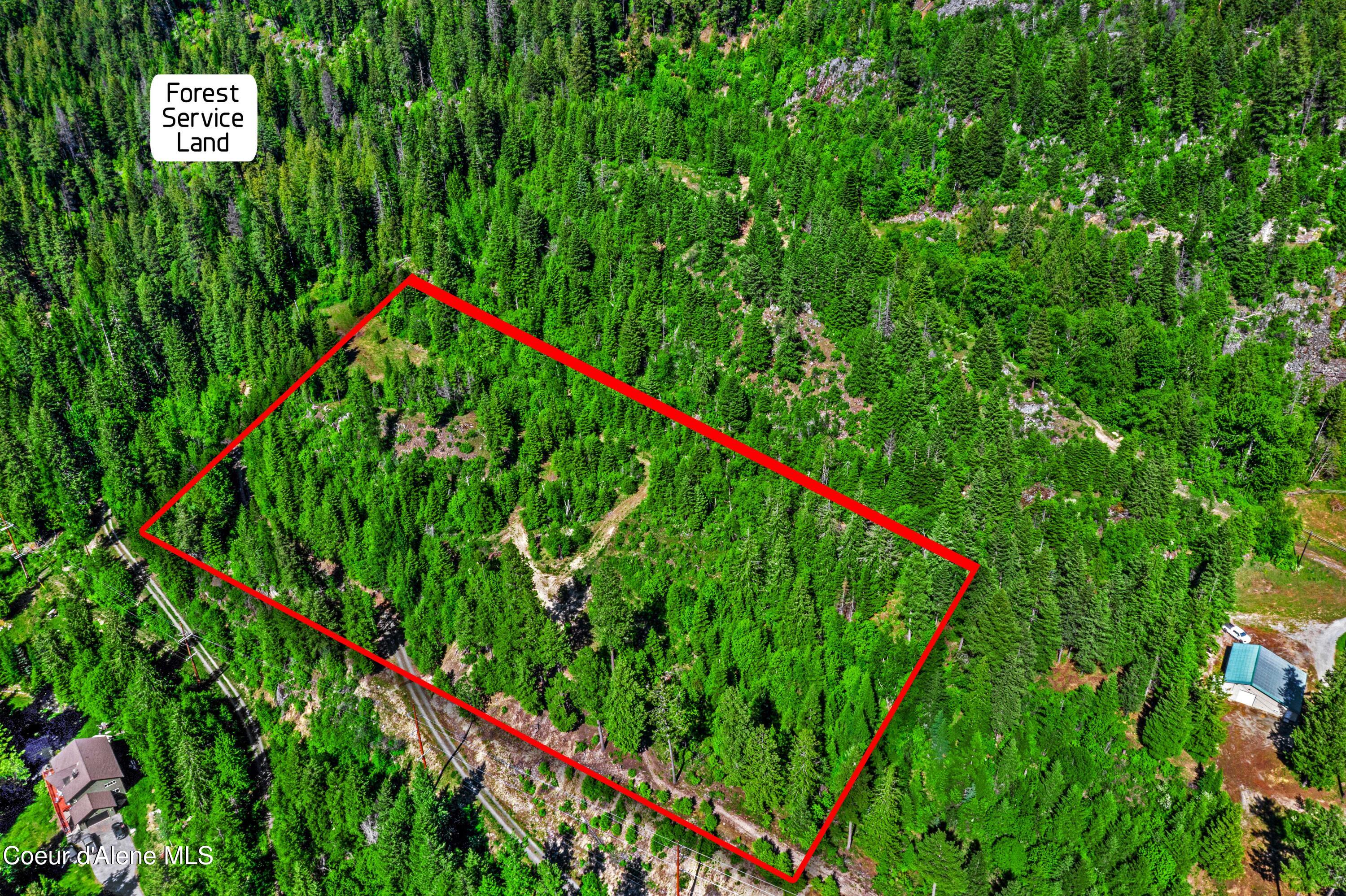 NNA W Kirby Mt.  ( West 5 Acres ) Lane #3B, Sandpoint, Alaska image 3