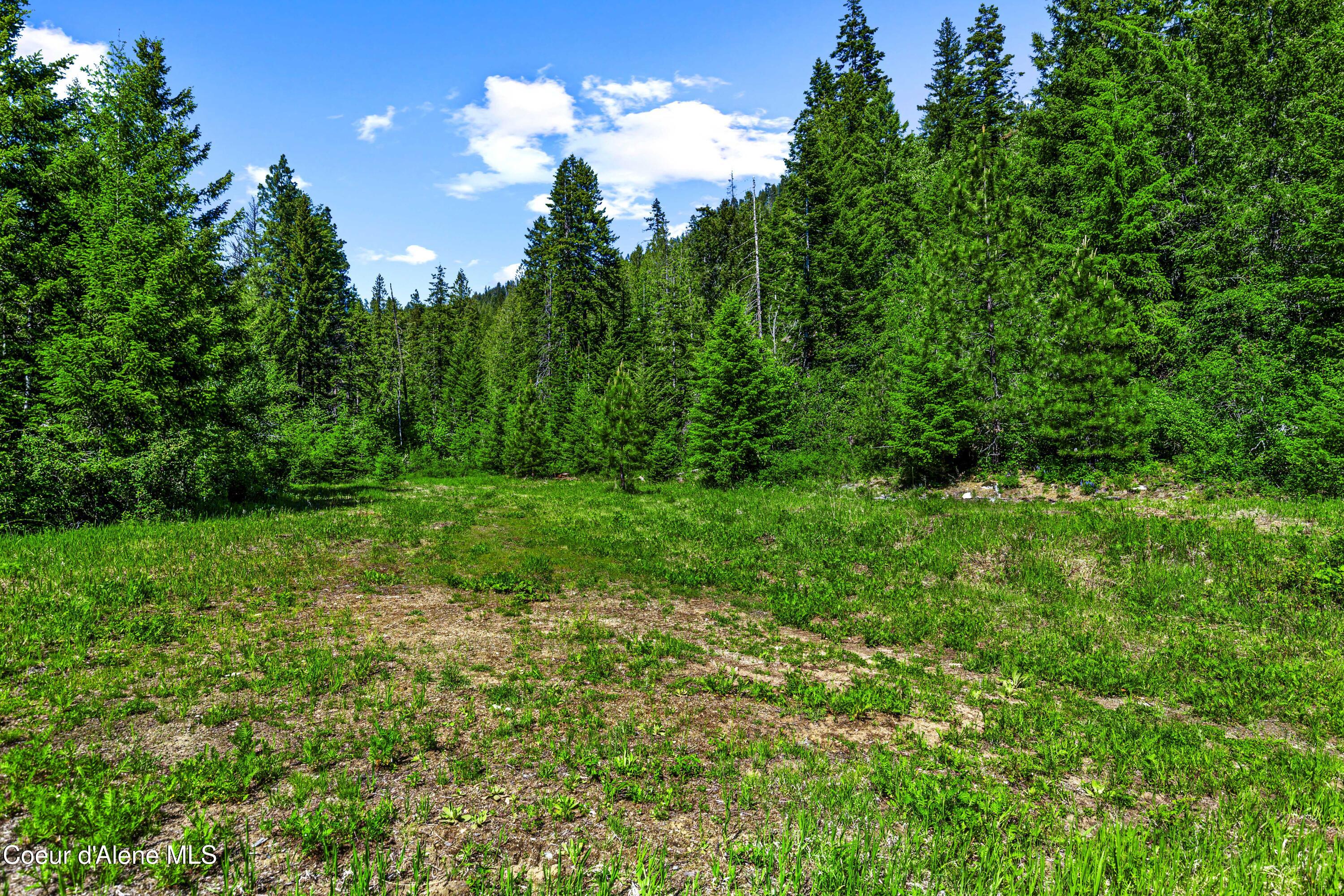 NNA W Kirby Mt.  ( West 5 Acres ) Lane #3B, Sandpoint, Alaska image 8