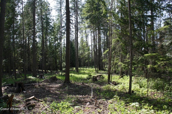 RIVER LAKE DR, CLARK FORK, ID 83811 - Image 35d7151c02eb7c50bd676e702d702f1a/192036684