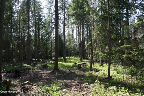 Vacant Land For Sale - NKA River Lake Lake<br/> Clark Fork, ID 83811