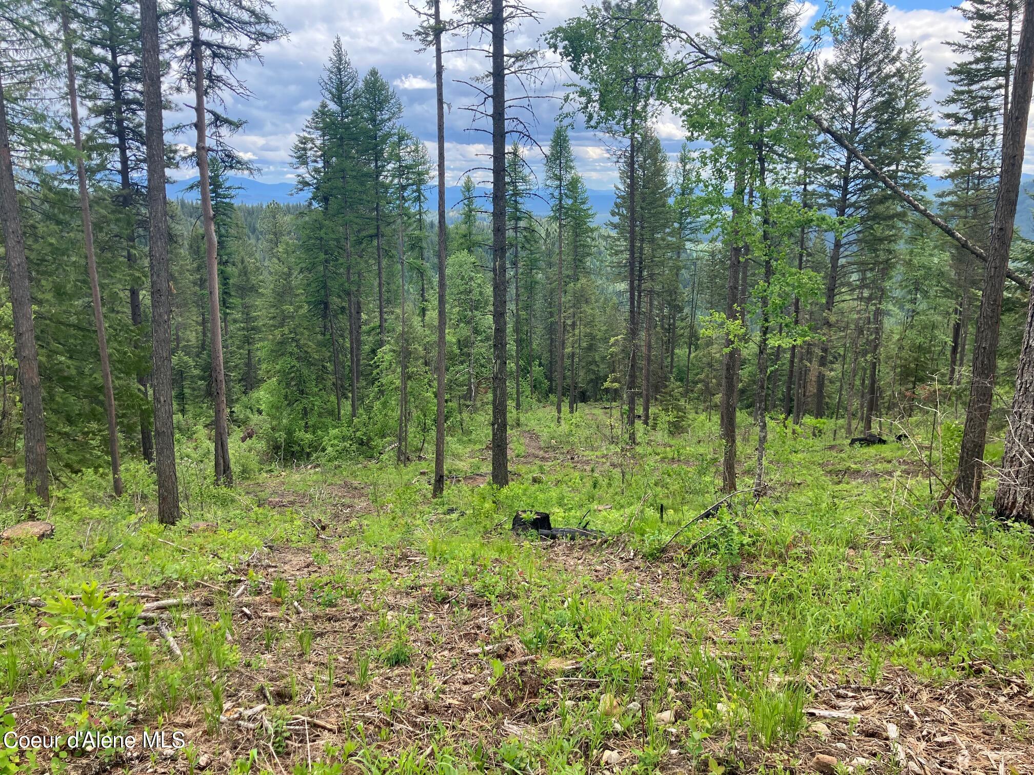 NNA Gold Cup Mountain, Priest River, Idaho image 15