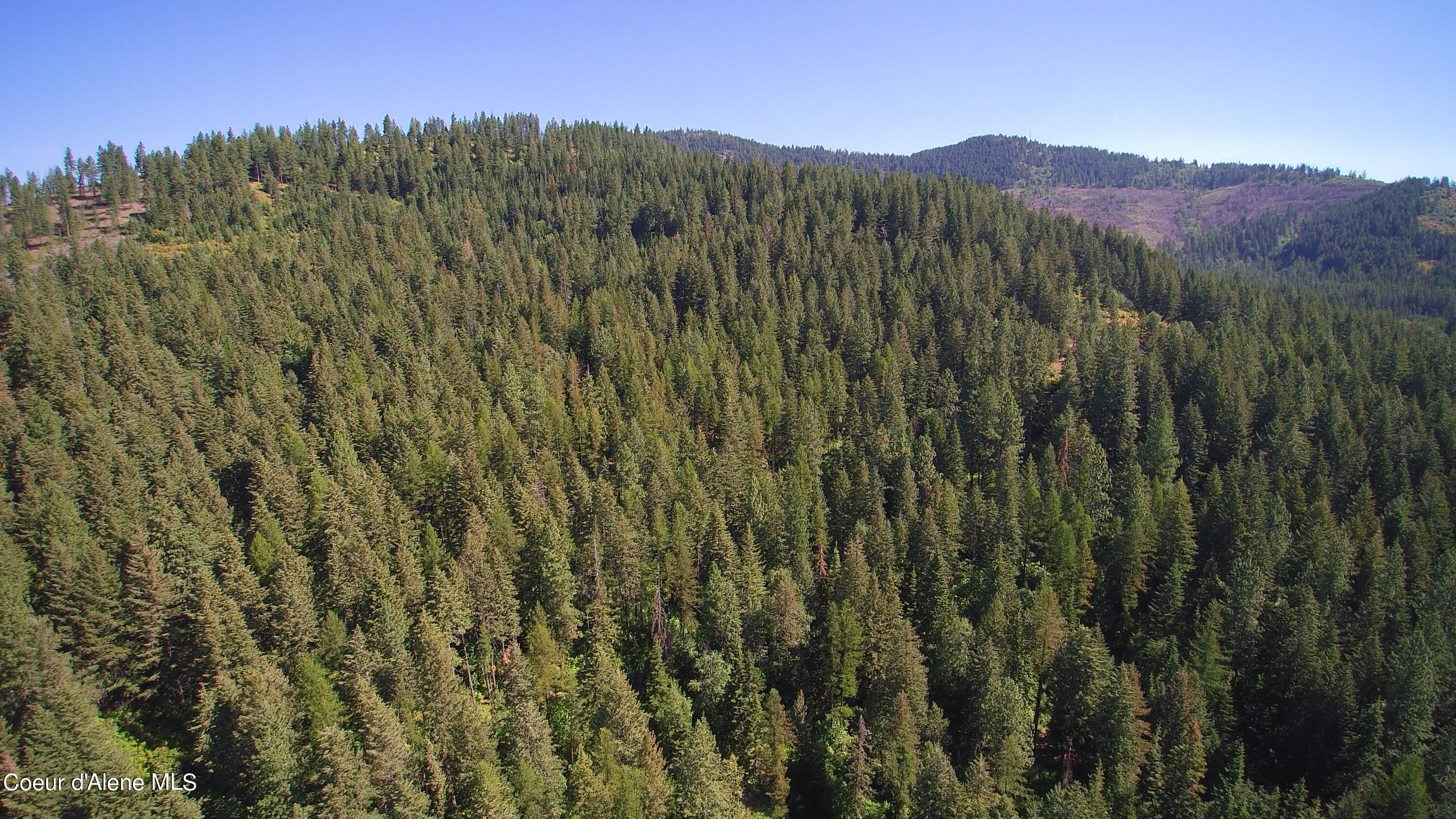 NNA Gold Cup Mountain, Priest River, Idaho image 22