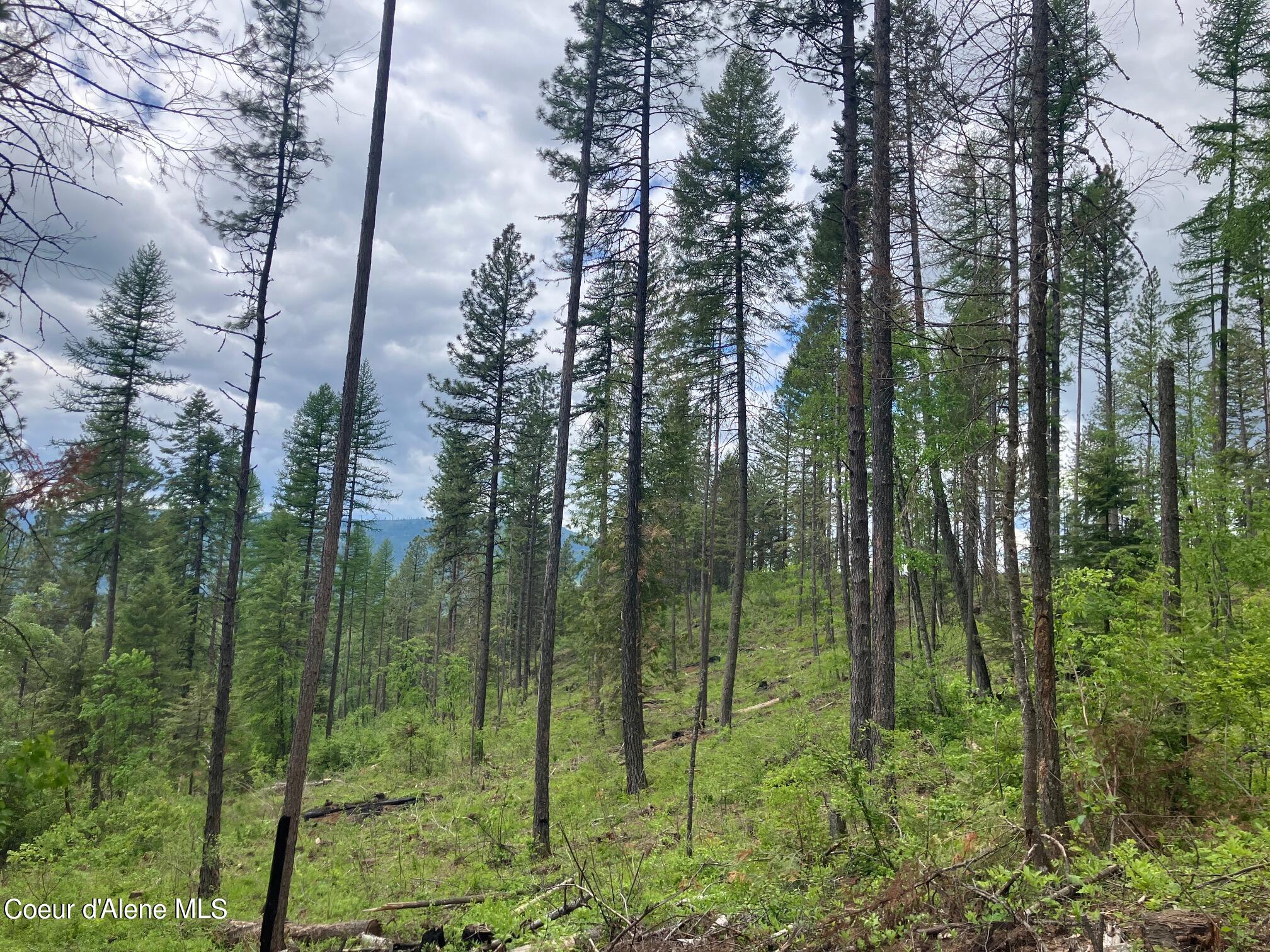 NNA Gold Cup Mountain, Priest River, Idaho image 20