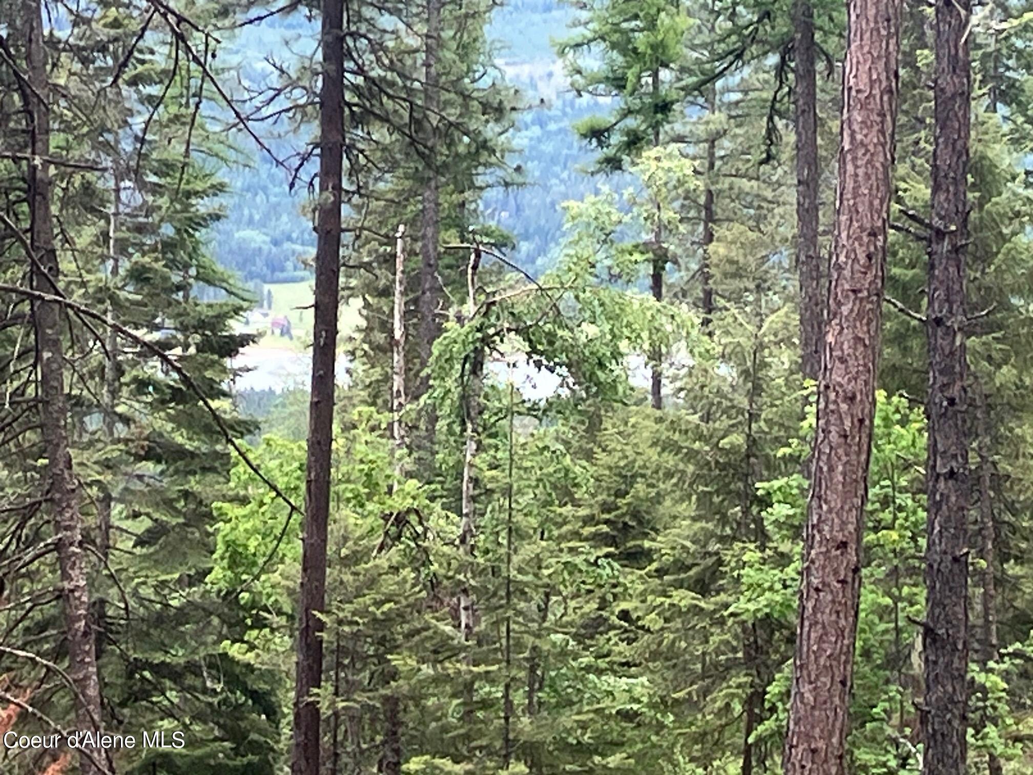 NNA Gold Cup Mountain, Priest River, Idaho image 18