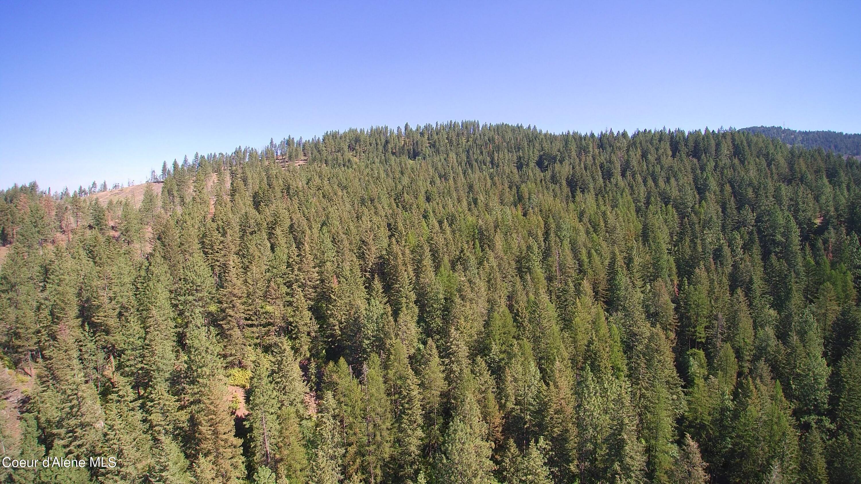 NNA Gold Cup Mountain, Priest River, Idaho image 13