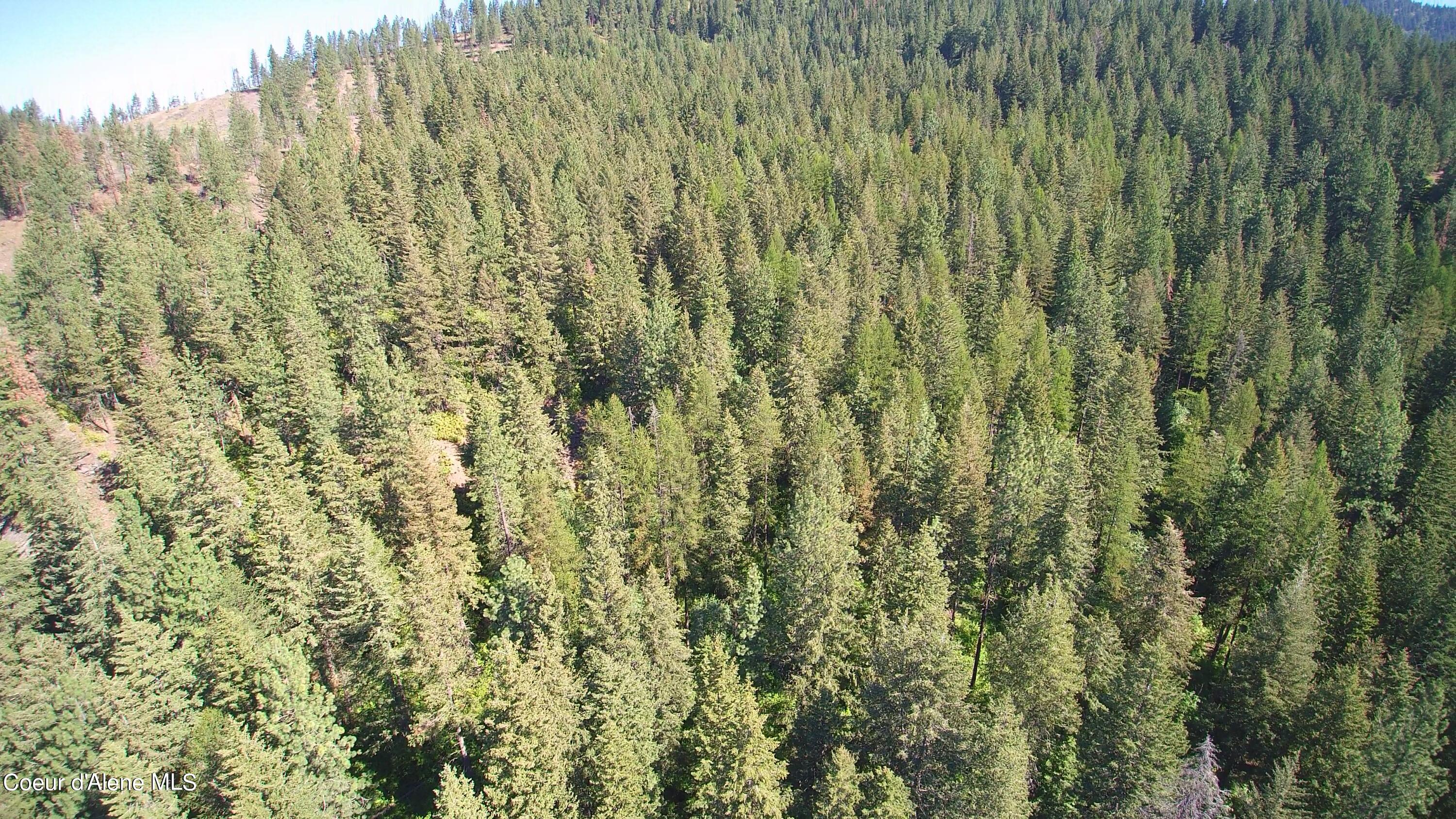 NNA Gold Cup Mountain, Priest River, Idaho image 16