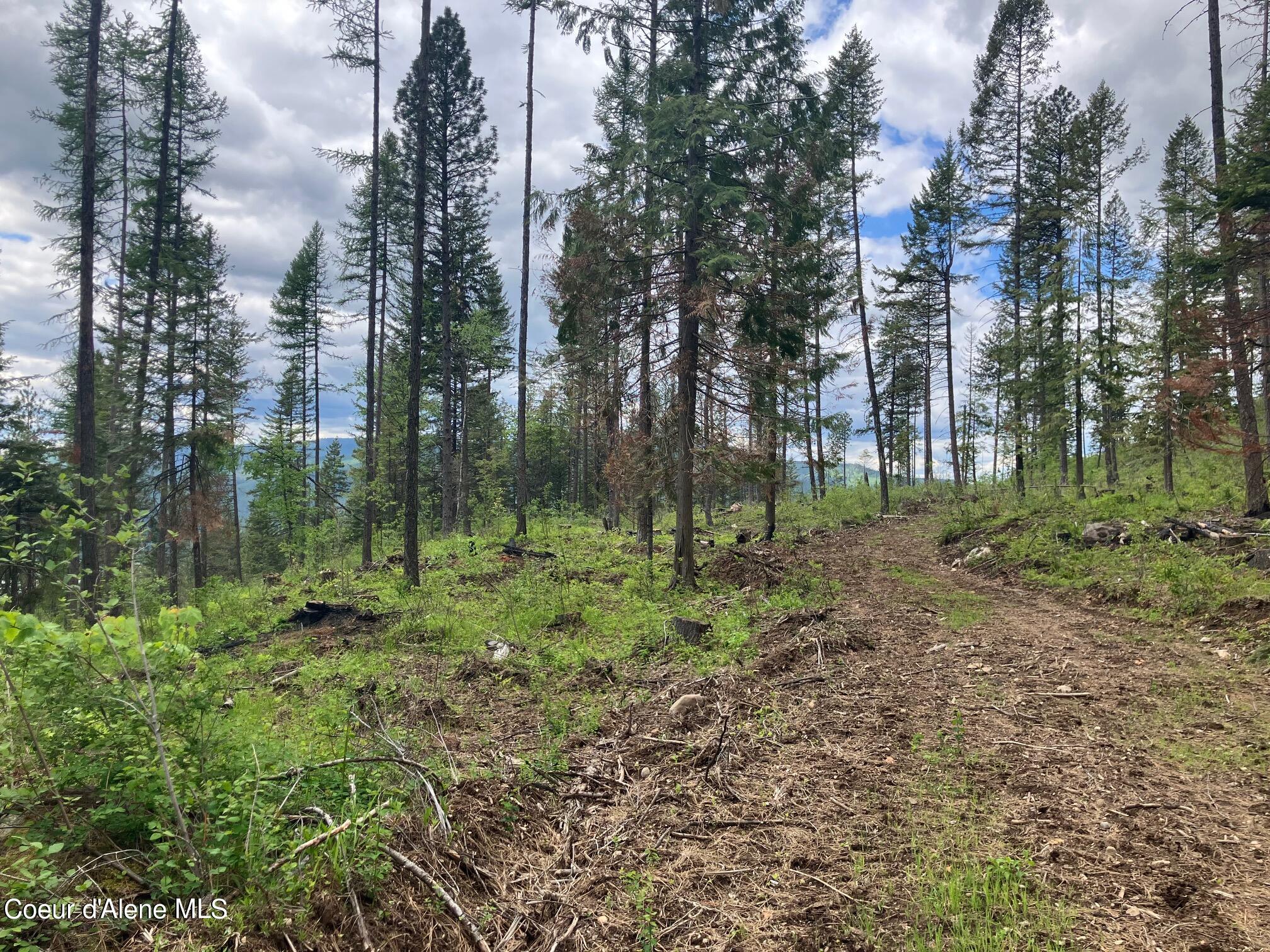 NNA Gold Cup Mountain, Priest River, Idaho image 11