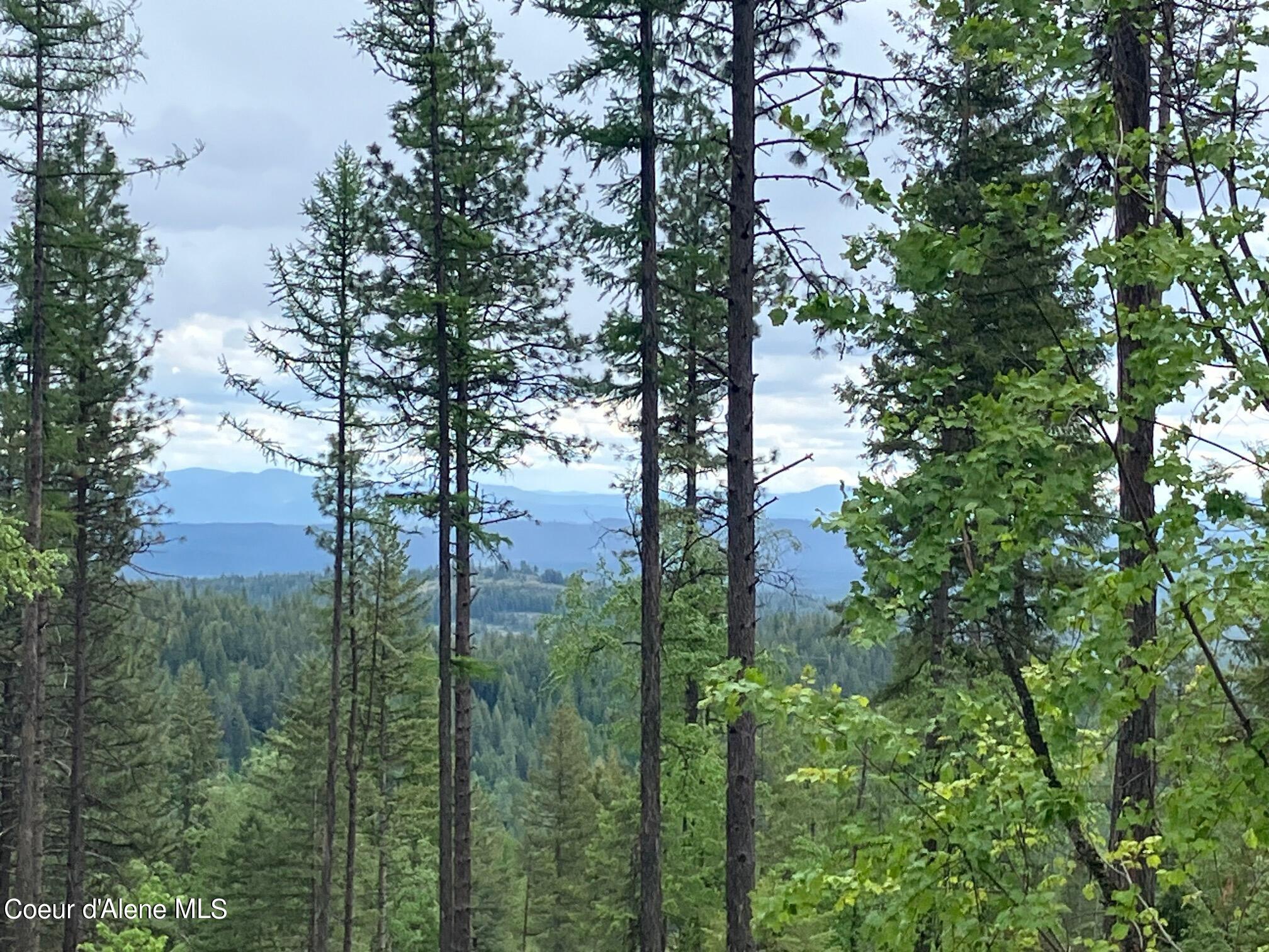 NNA Gold Cup Mountain, Priest River, Idaho image 21