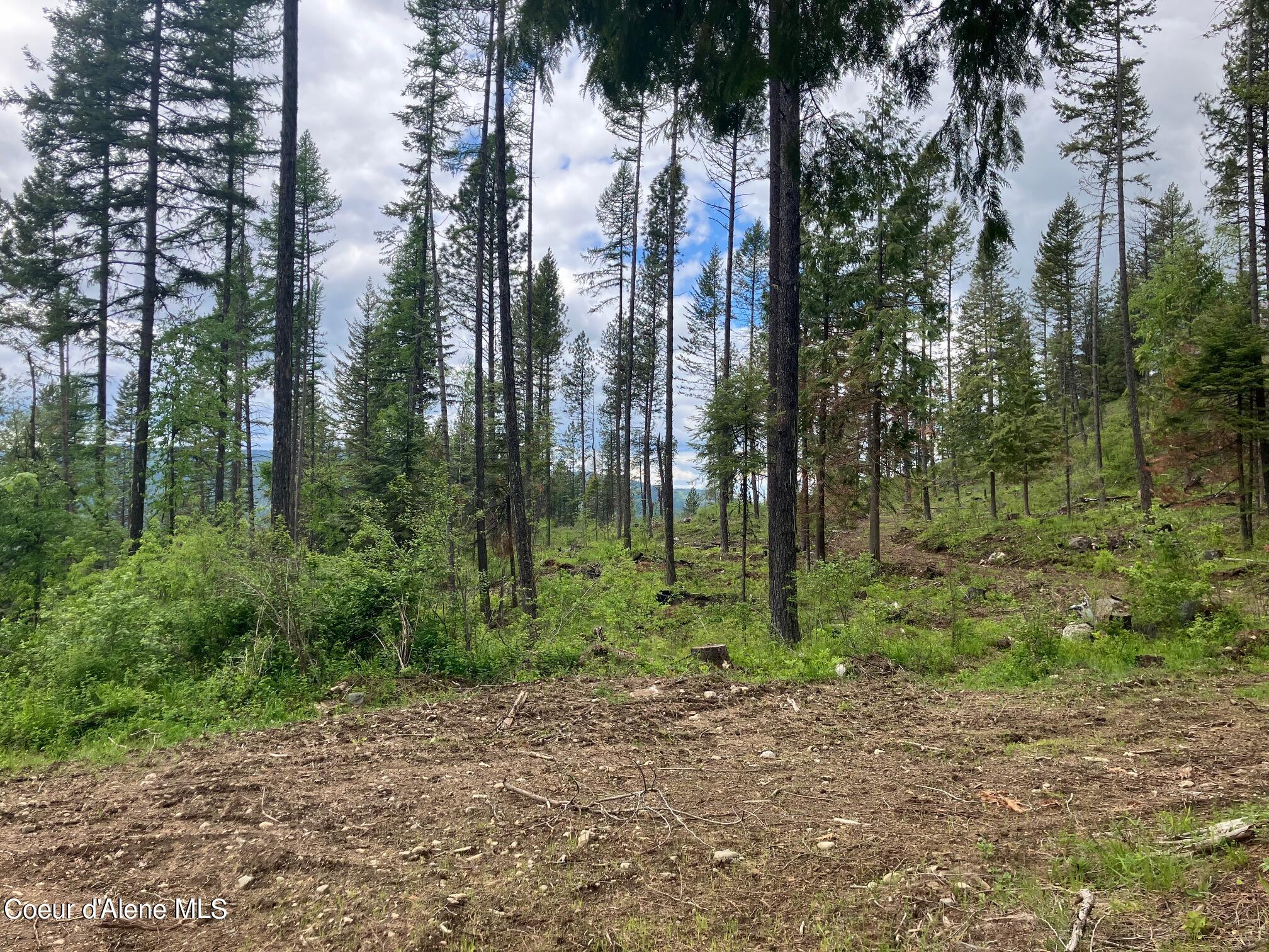 NNA Gold Cup Mountain, Priest River, Idaho image 5