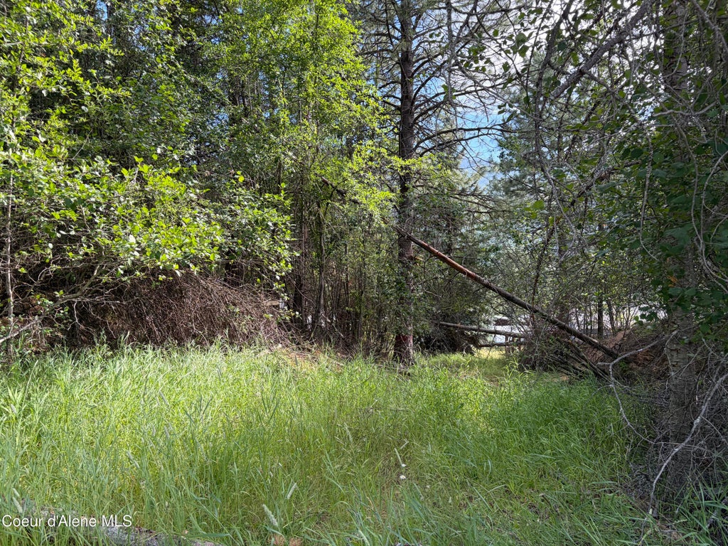 Photo of Lot 2 NKA Upper Dr Dr, Osburn, ID 83849 (MLS # 26-7464)