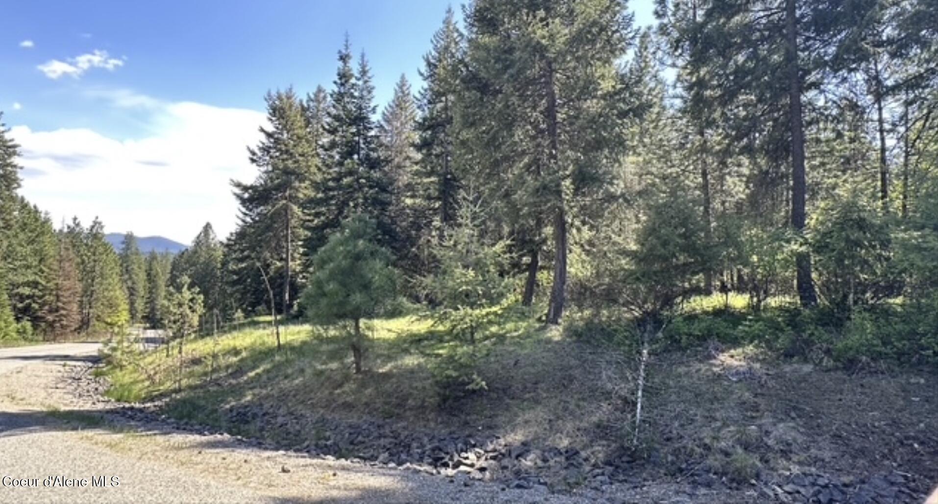 NAA Whitetail Crossing