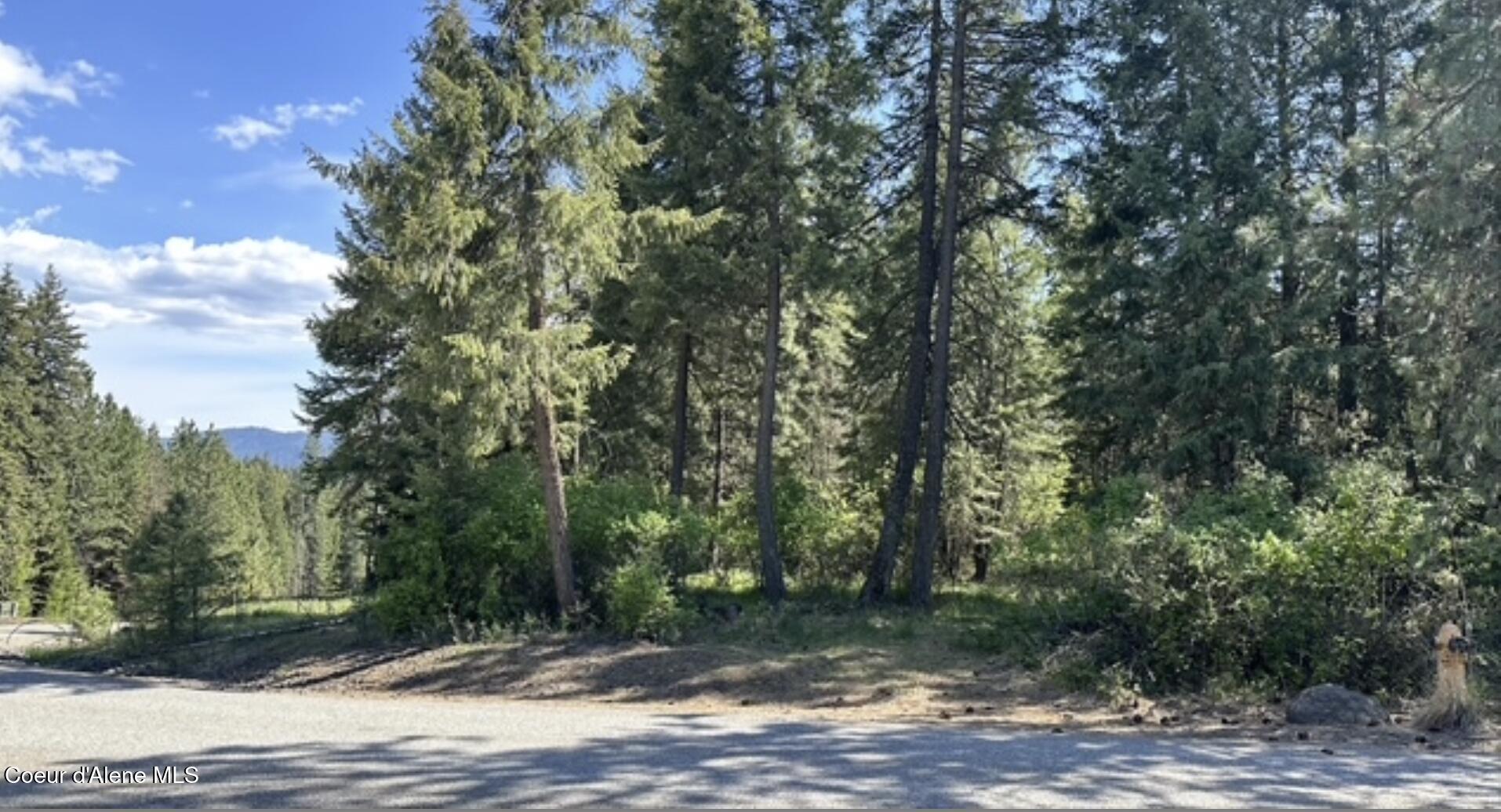NAA Whitetail Crossing
