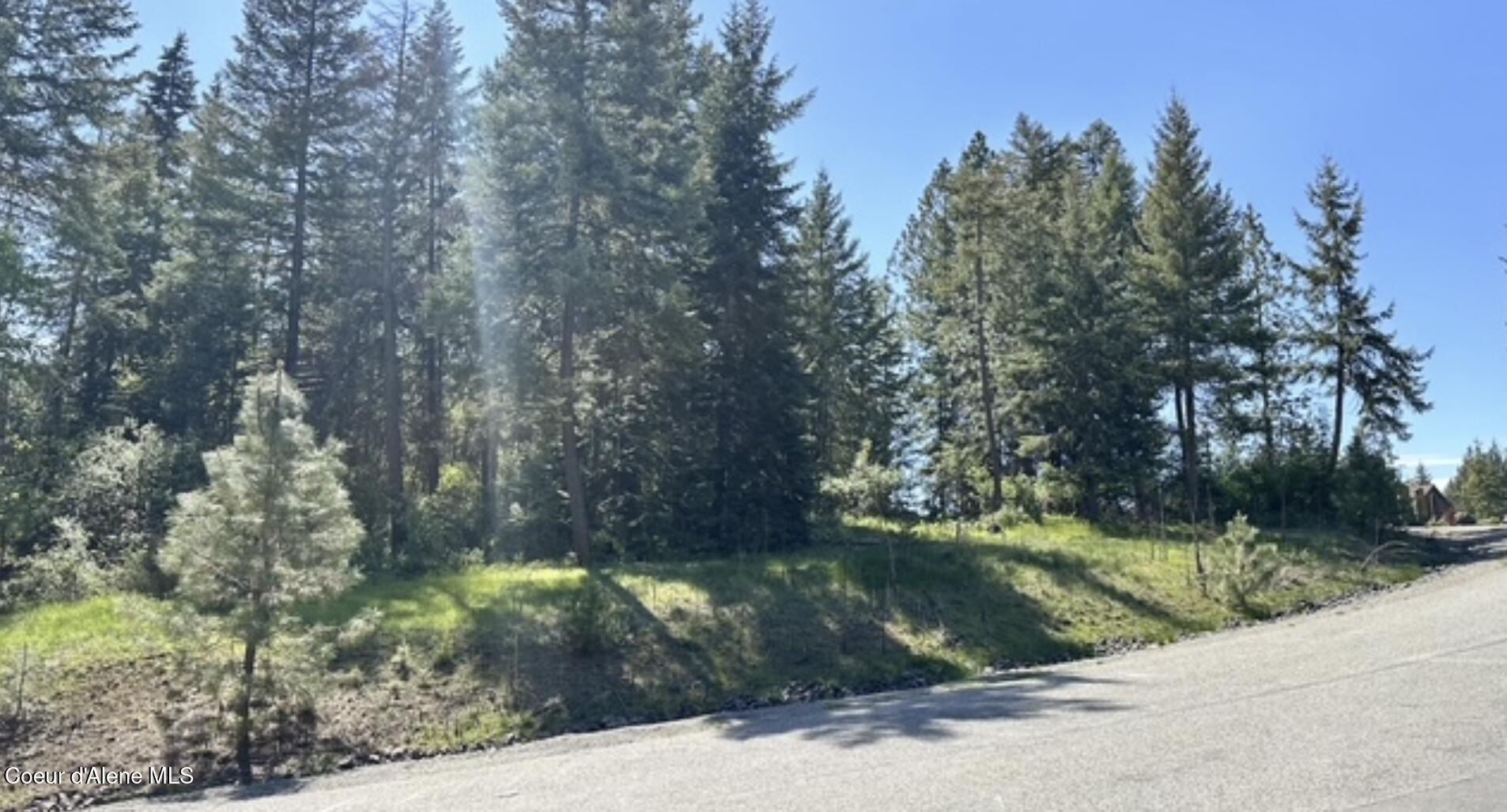 NAA Whitetail Crossing