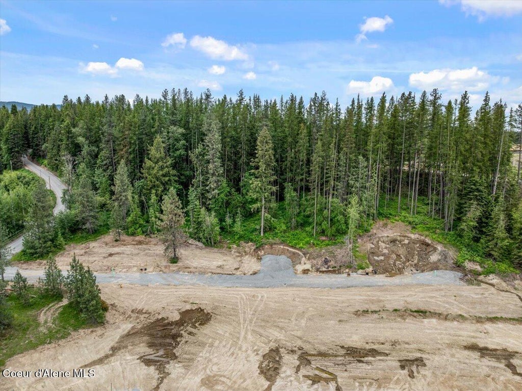 Photo of NKA Baja Lot 4, Oldtown, ID 83822 (MLS # 26-6032)