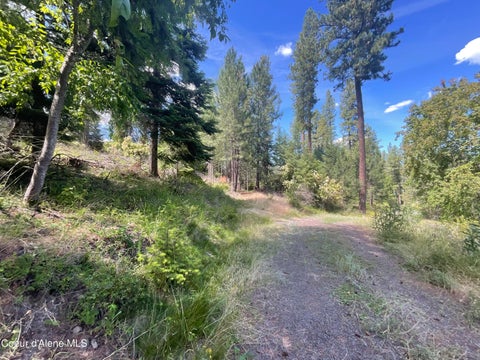 Vacant Land For Sale - NKA Bella Vista Vista<br/> Worley, ID 83876