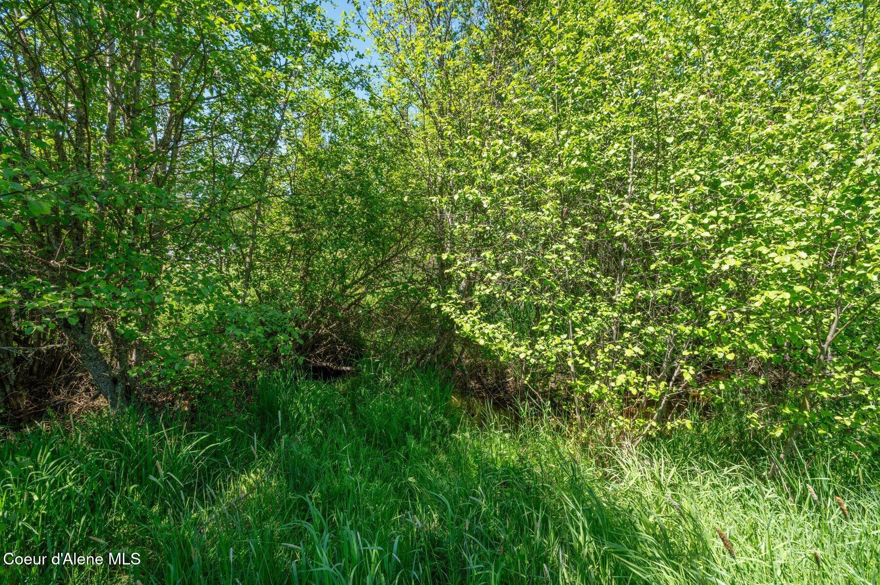 2902 Jewel Lake Rd, Sagle, Alaska image 50