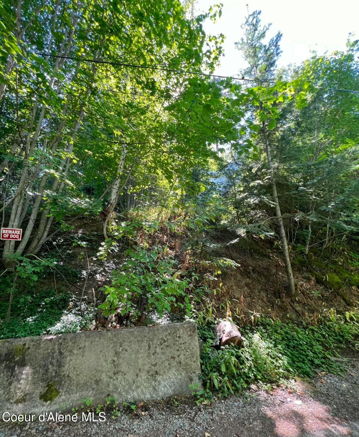 409 Elm St, Wallace, West Virginia image 5