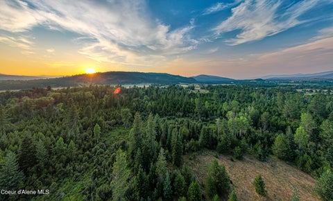 Vacant Land For Sale - NKA Peninsula Rd W 46+ Acres Way<br/> Priest River, ID 83856