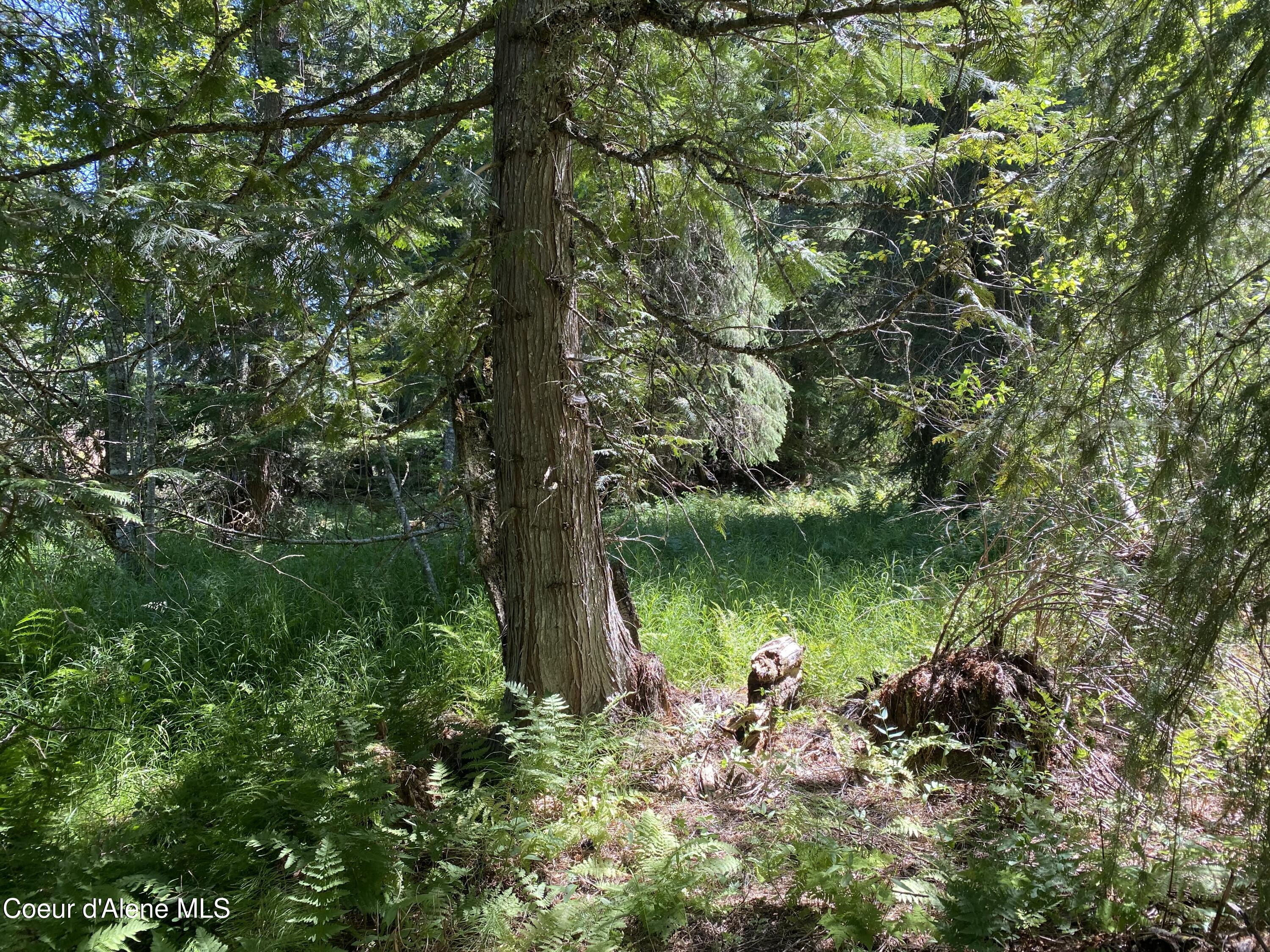 NNA Adams, Lot 3 Blk 127, Spirit Lake, Idaho image 4