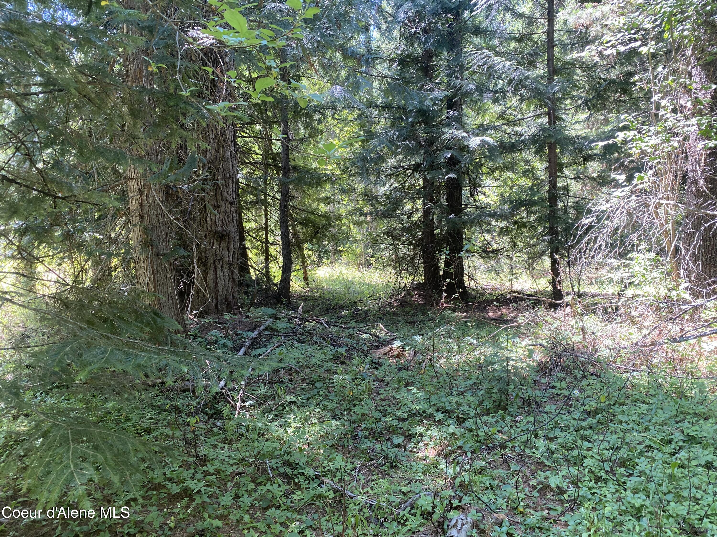 NNA Adams, Lot 3 Blk 127, Spirit Lake, Idaho image 2