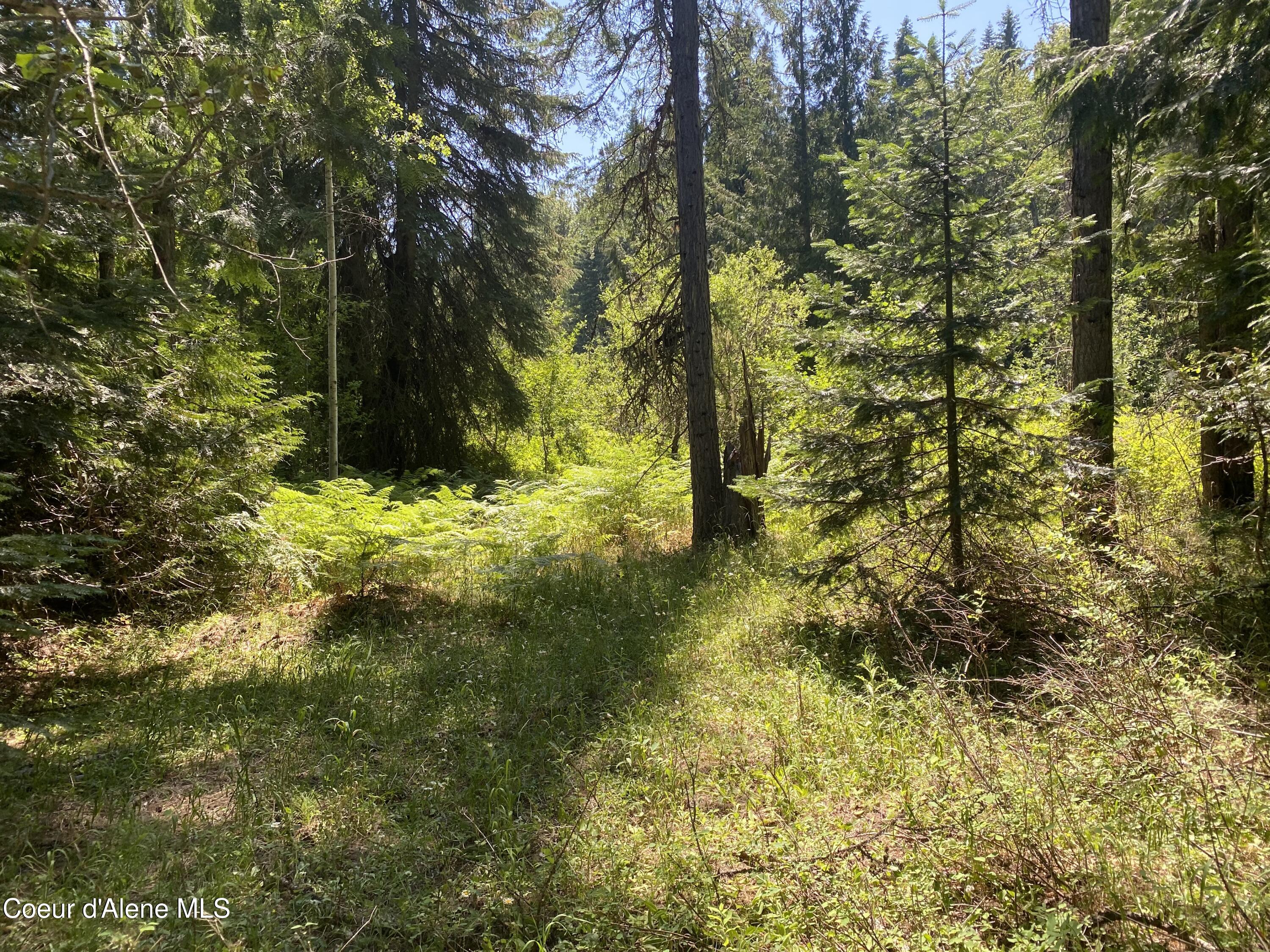 NNA Adams, Lot 3 Blk 127, Spirit Lake, Idaho image 1