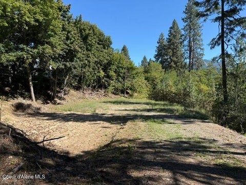 Vacant Land For Sale - NNA (.393 Ac.) 2nd St St<br/> Priest River, ID 83856