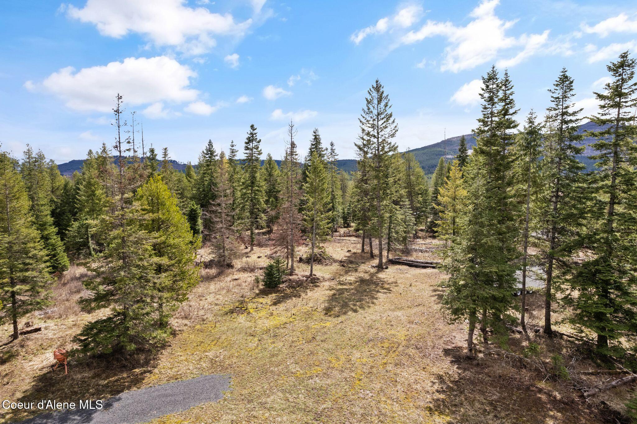 135 Daisy Lane, St. Maries, Idaho image 5