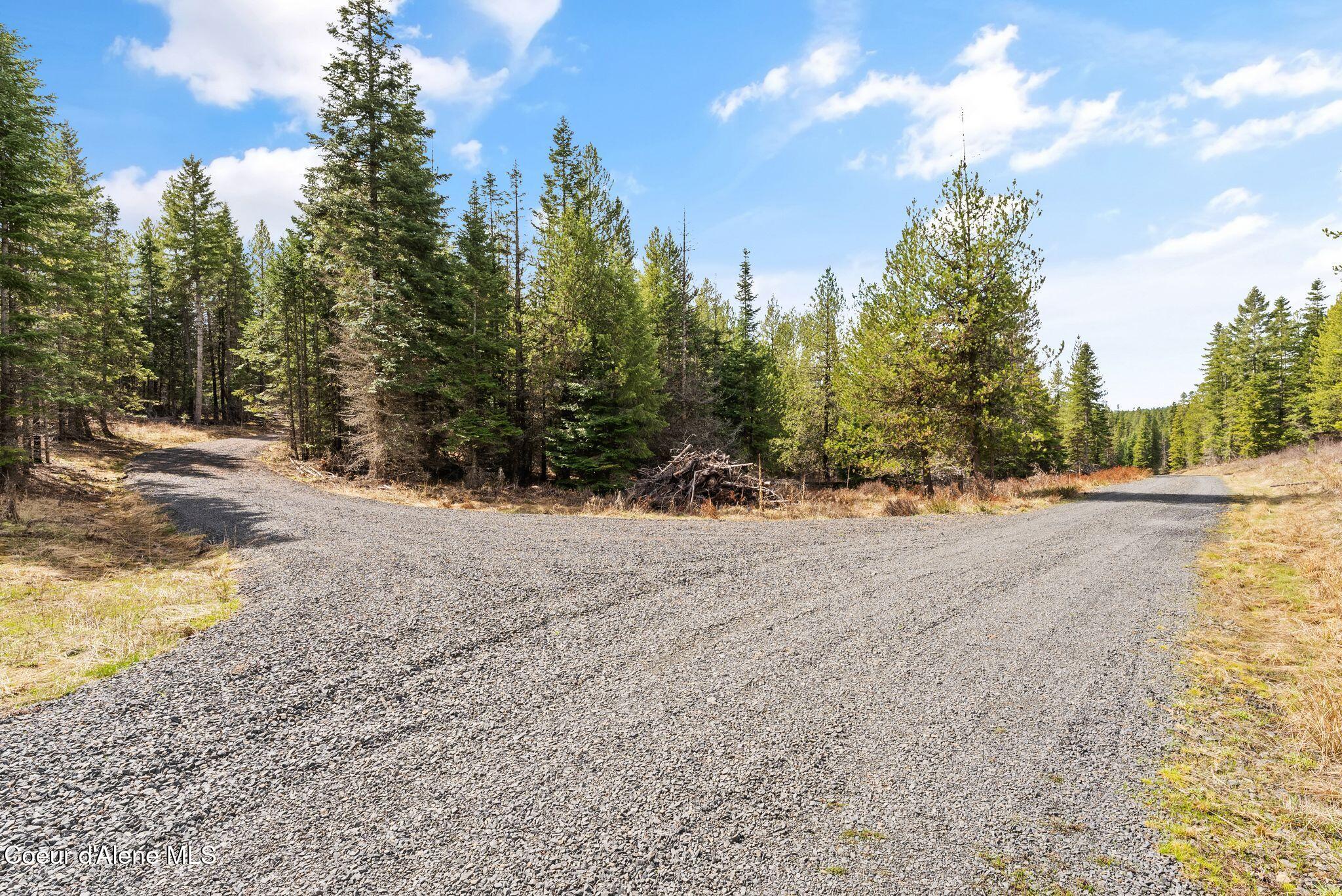 135 Daisy Lane, St. Maries, Idaho image 2