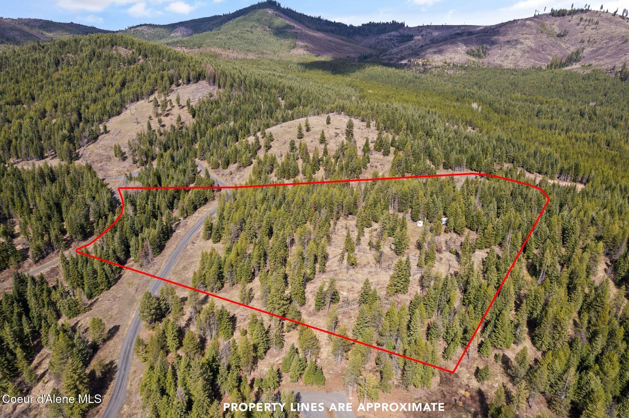 135 Daisy Lane, St. Maries, Idaho image 4