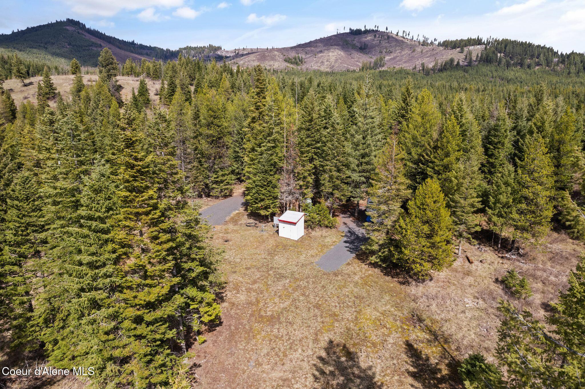 135 Daisy Lane, St. Maries, Idaho image 6