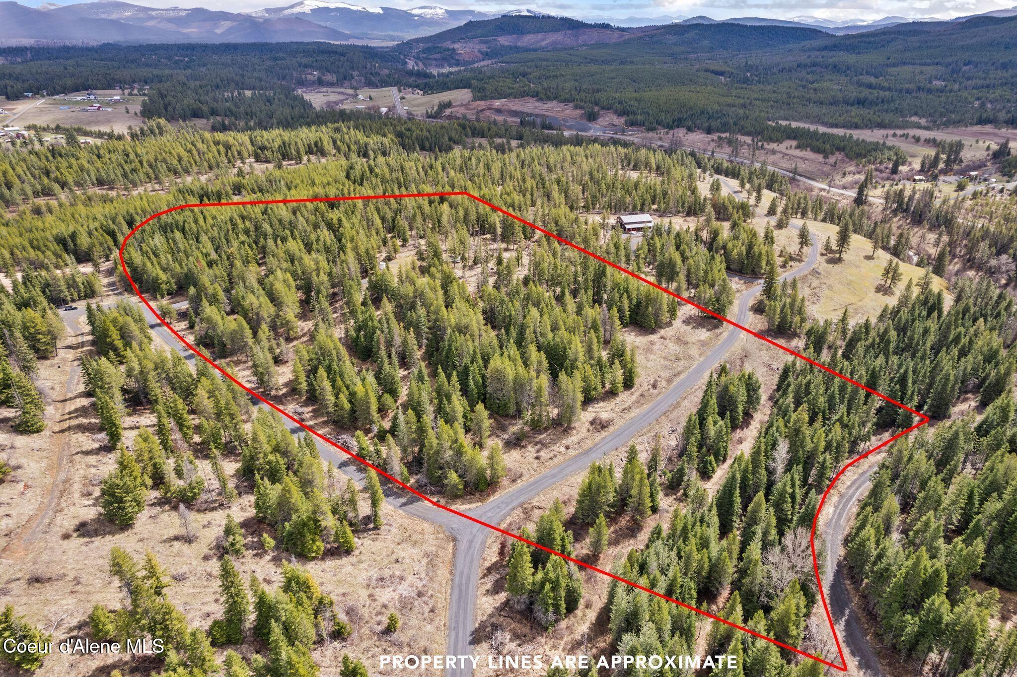 135 Daisy Lane, St. Maries, Idaho image 3