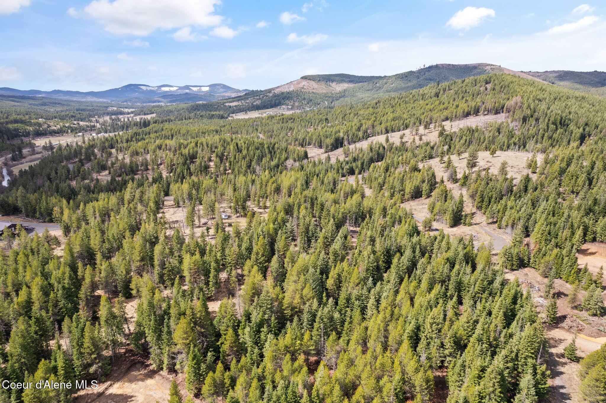 135 Daisy Lane, St. Maries, Idaho image 23