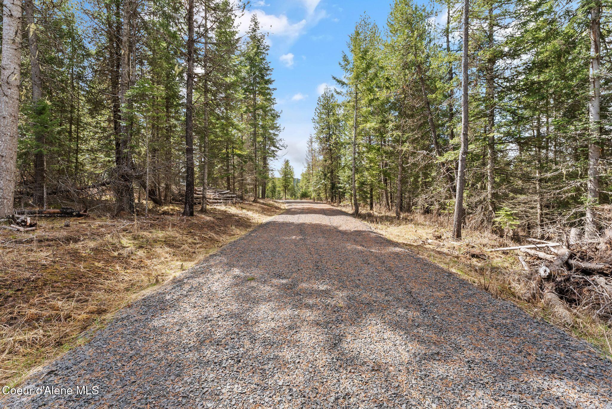 135 Daisy Lane, St. Maries, Idaho image 1