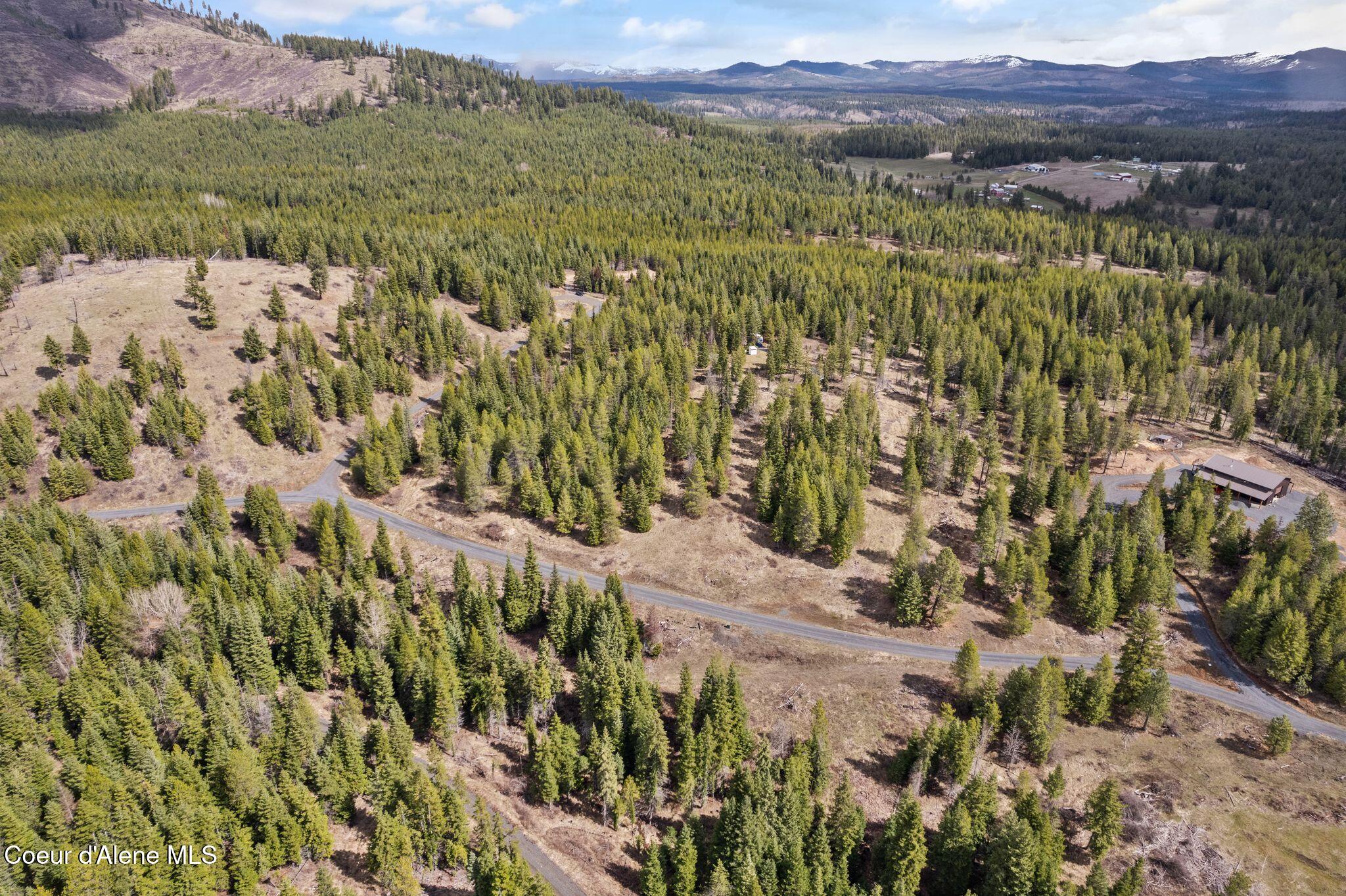 135 Daisy Lane, St. Maries, Idaho image 25