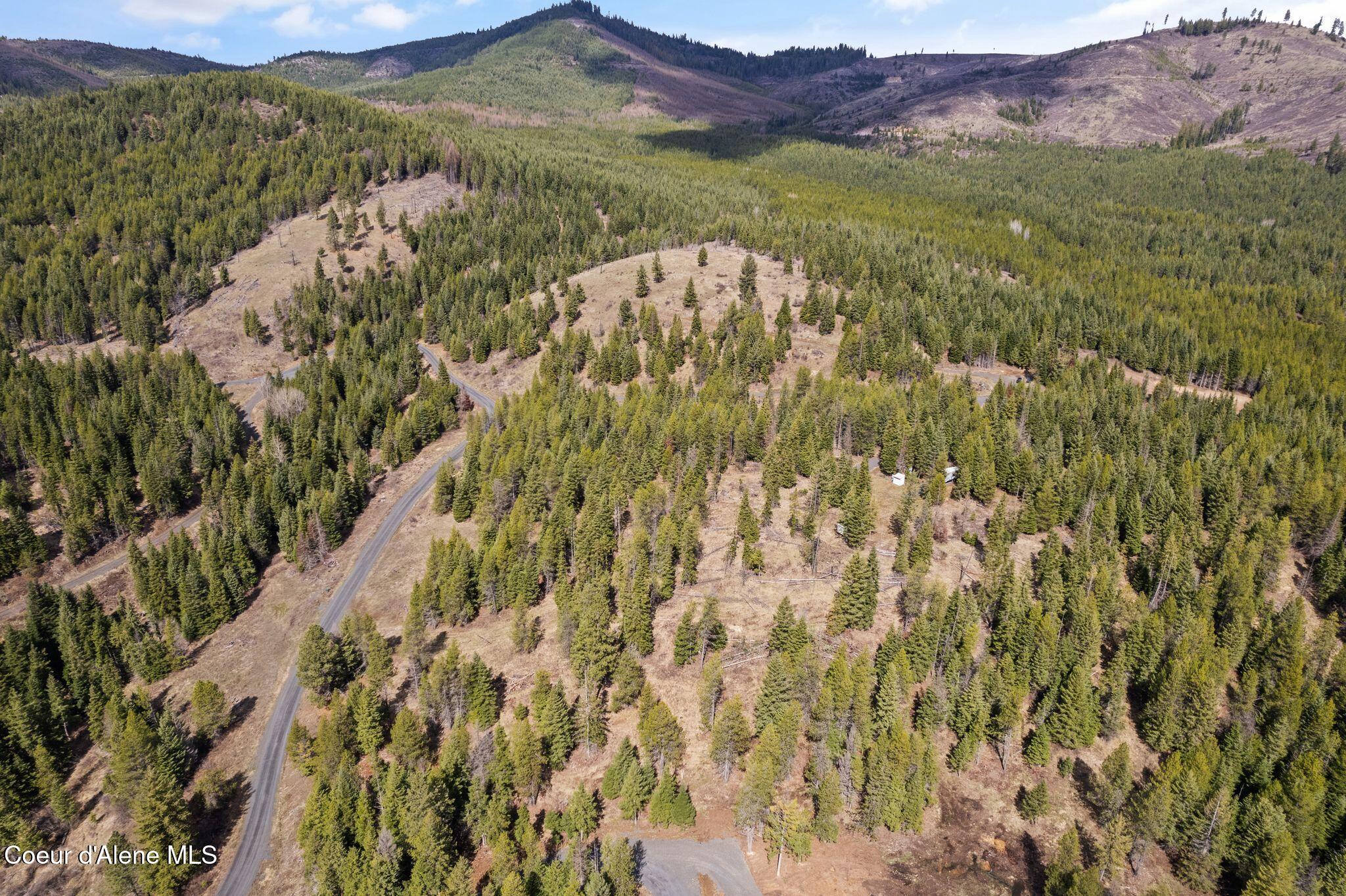 135 Daisy Lane, St. Maries, Idaho image 17