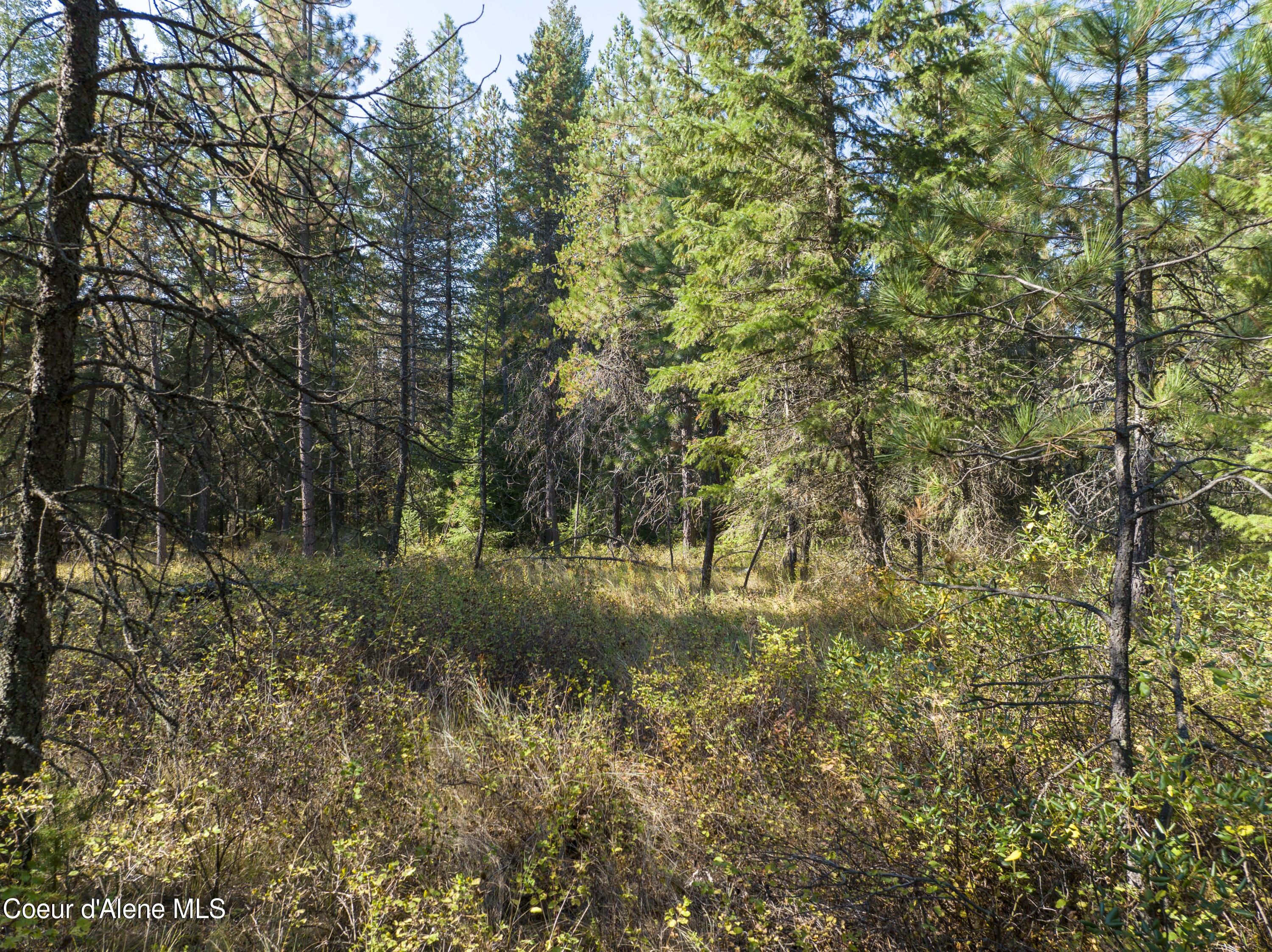 Blk1 Lot2 Gray Eagle Rd, Rathdrum, Idaho image 6