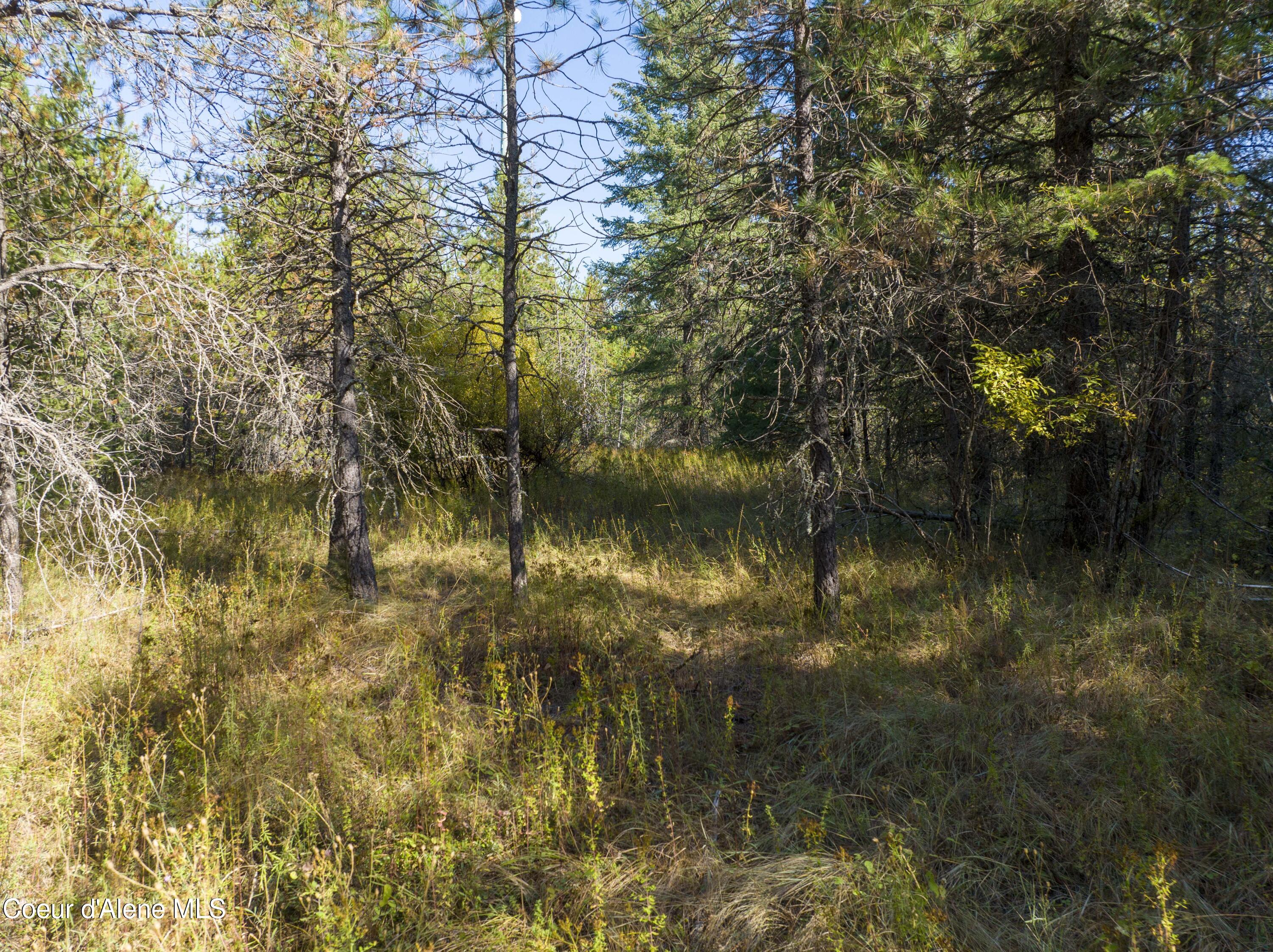 Blk1 Lot2 Gray Eagle Rd, Rathdrum, Idaho image 7